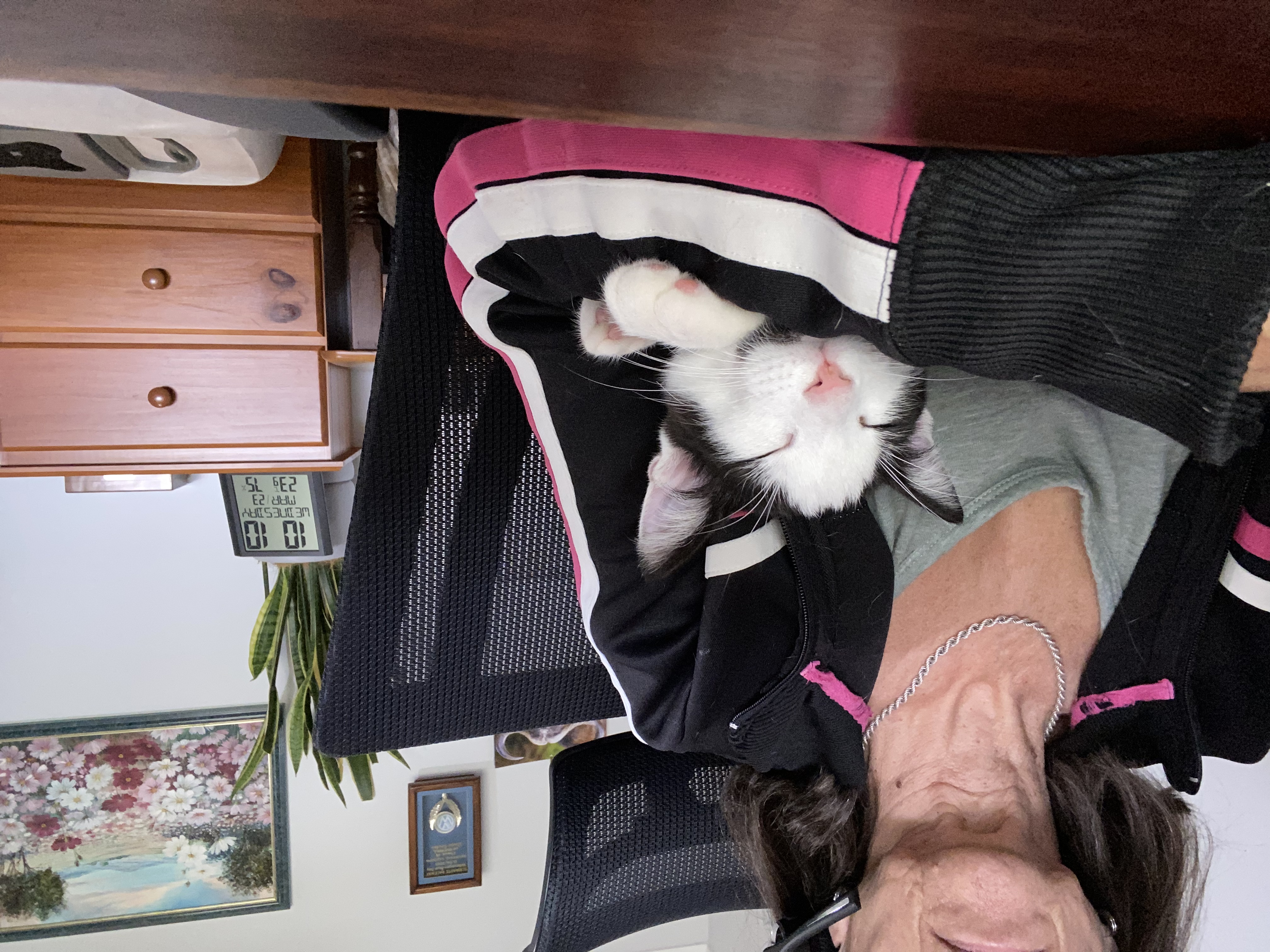 image-7