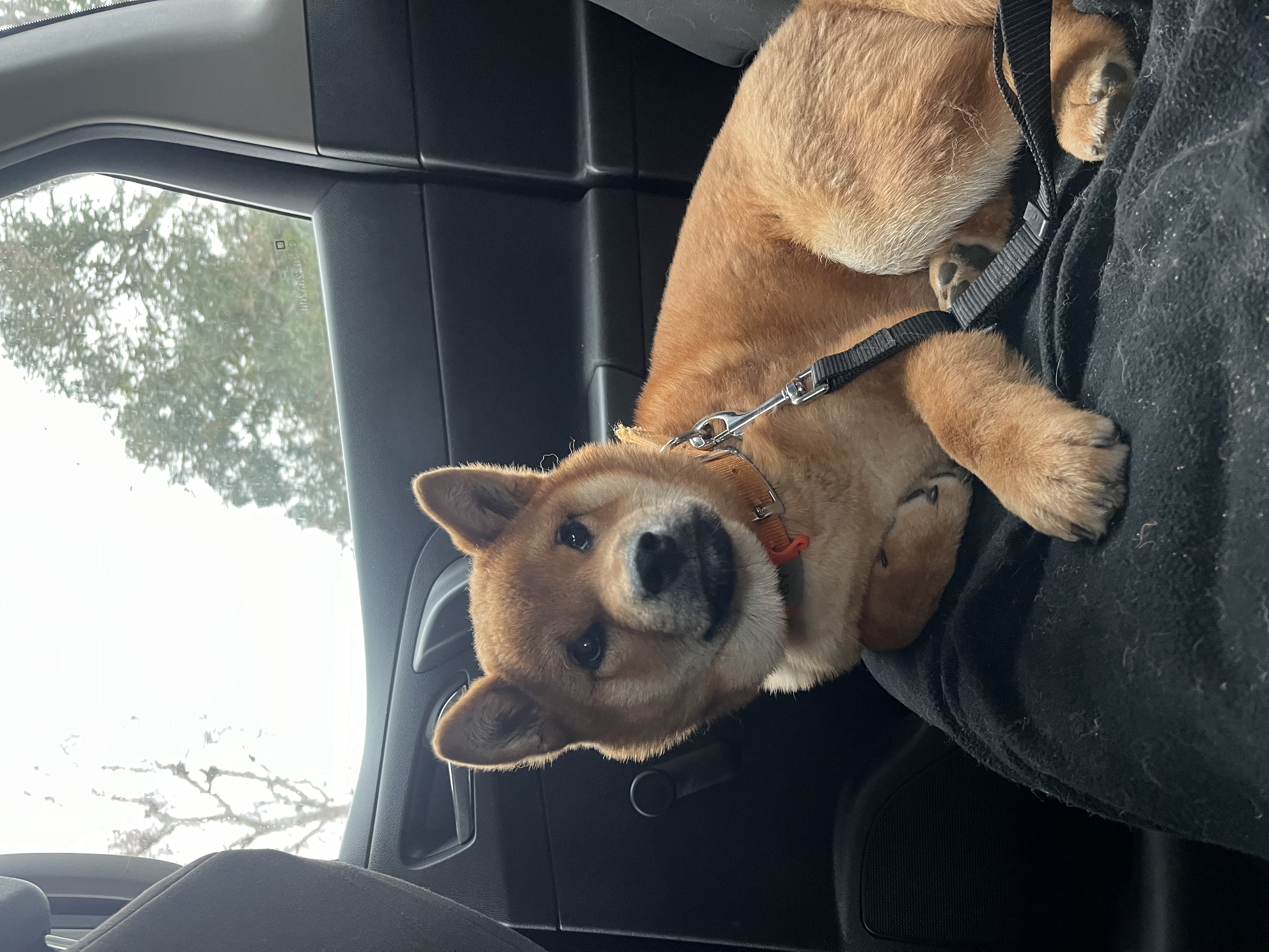 image-6