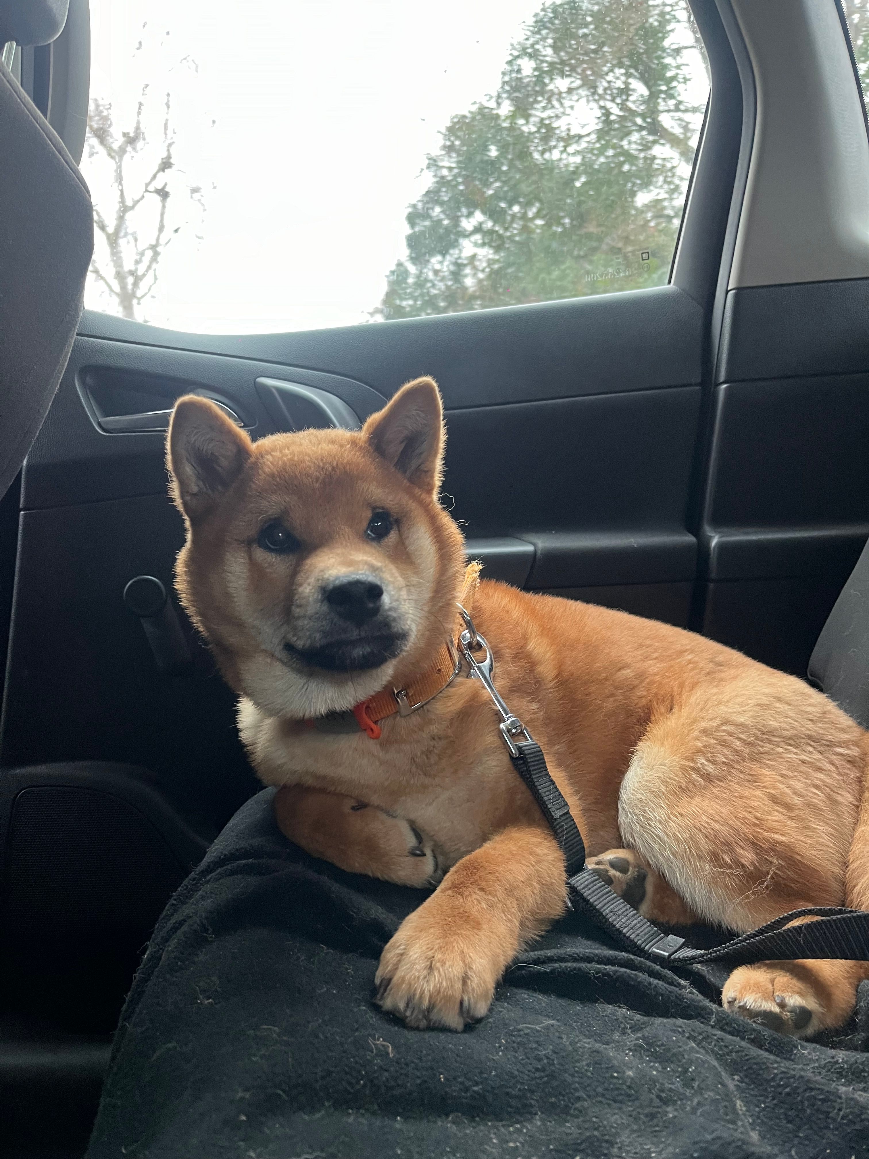 image-6