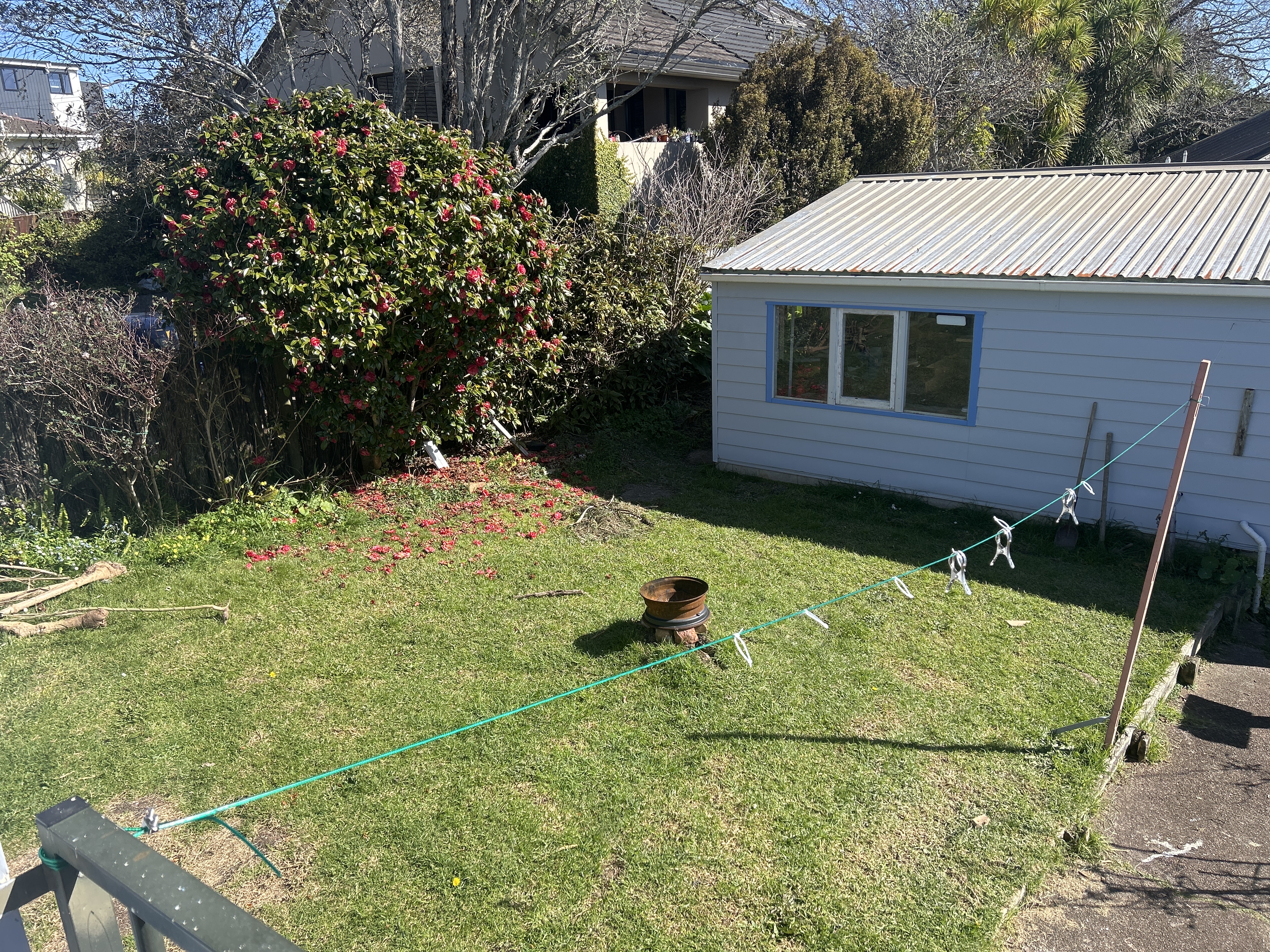 image-14