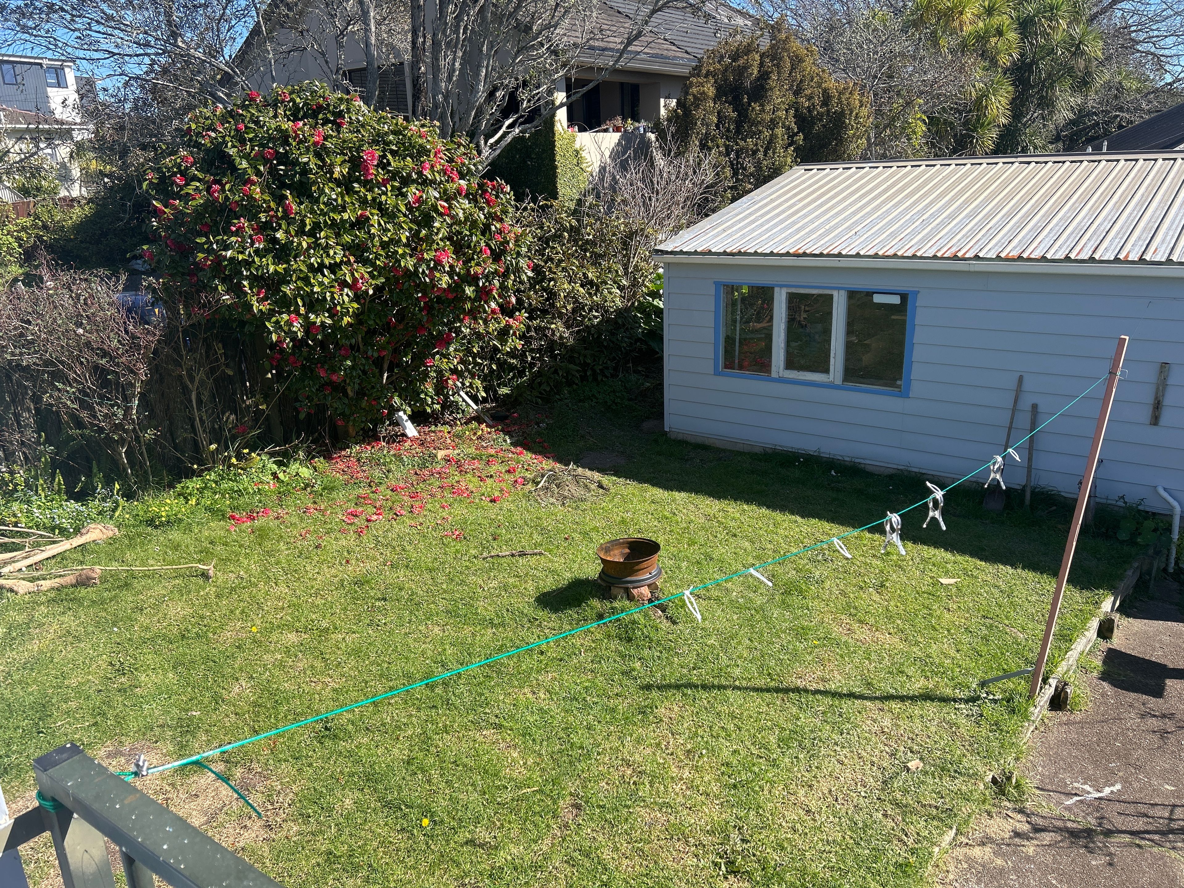 image-14