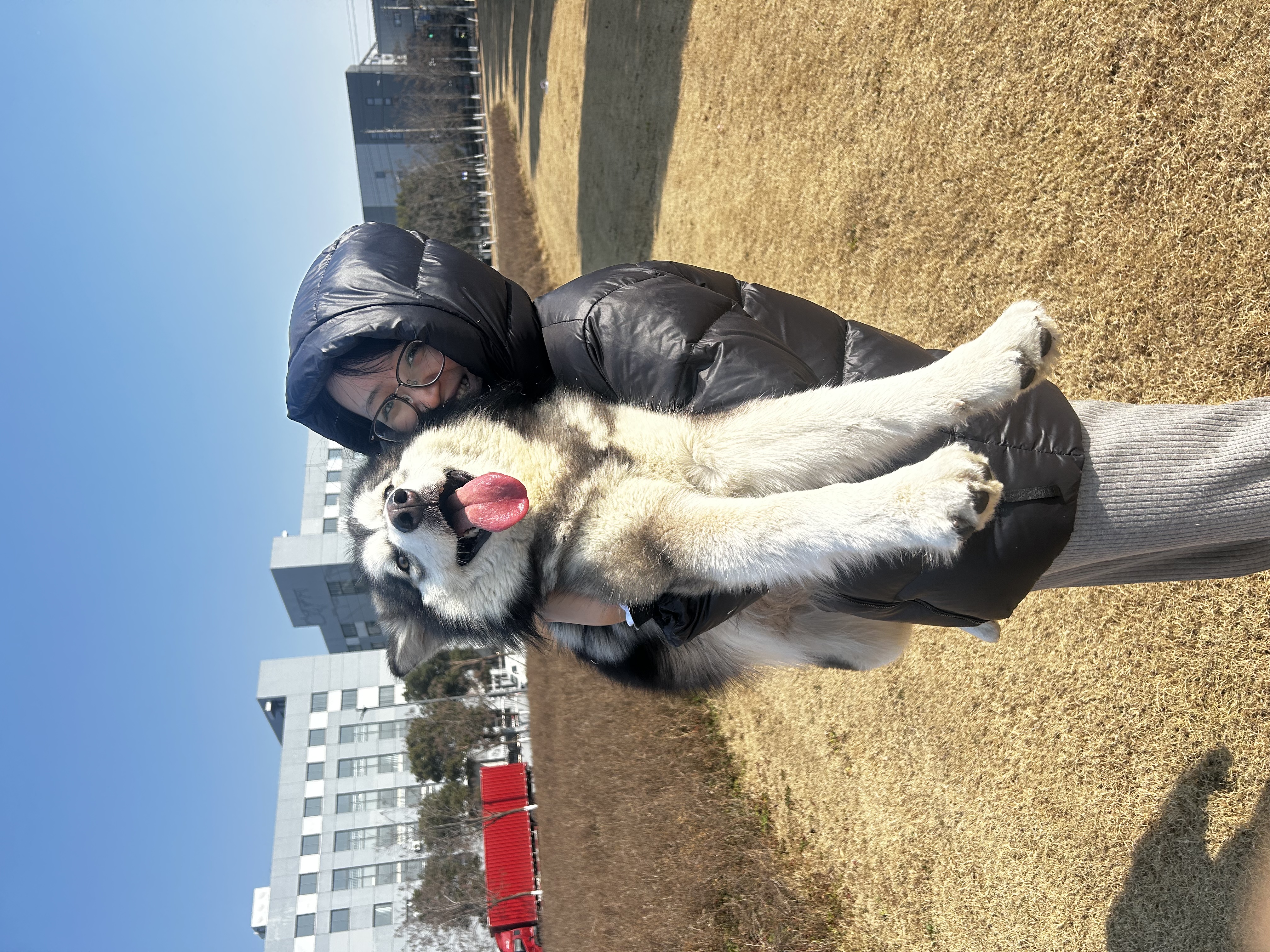 image-6