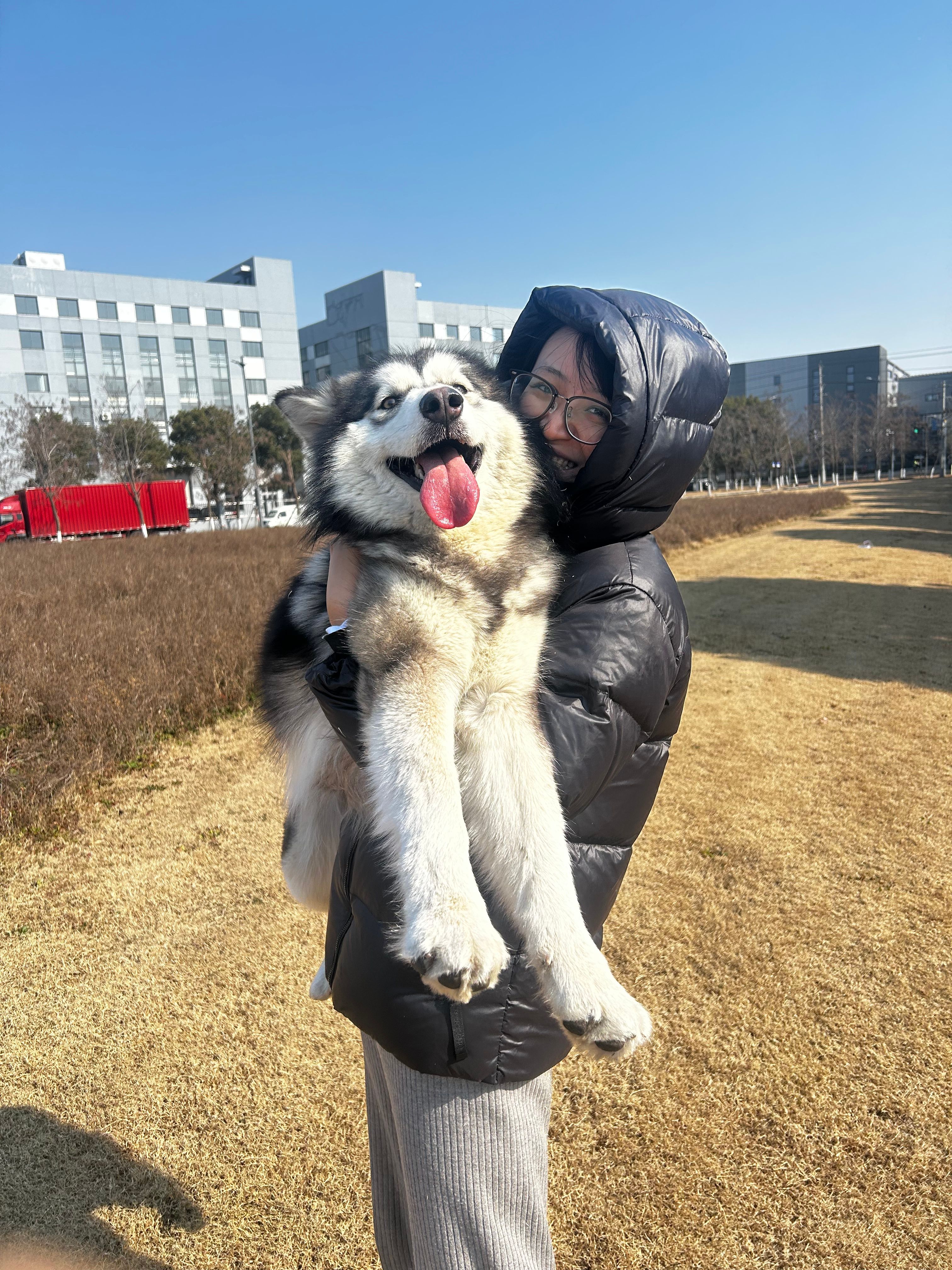image-6