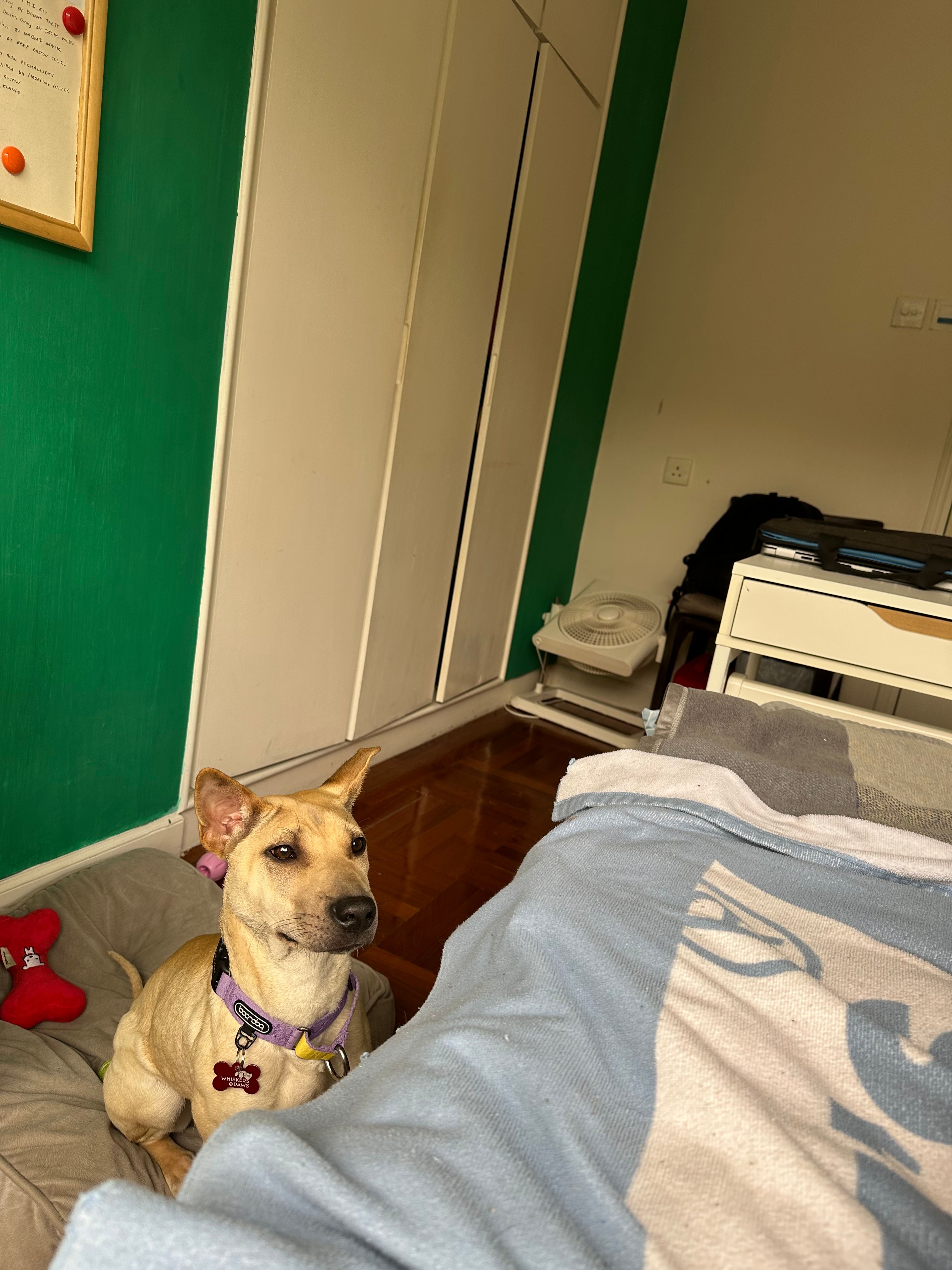 image-4