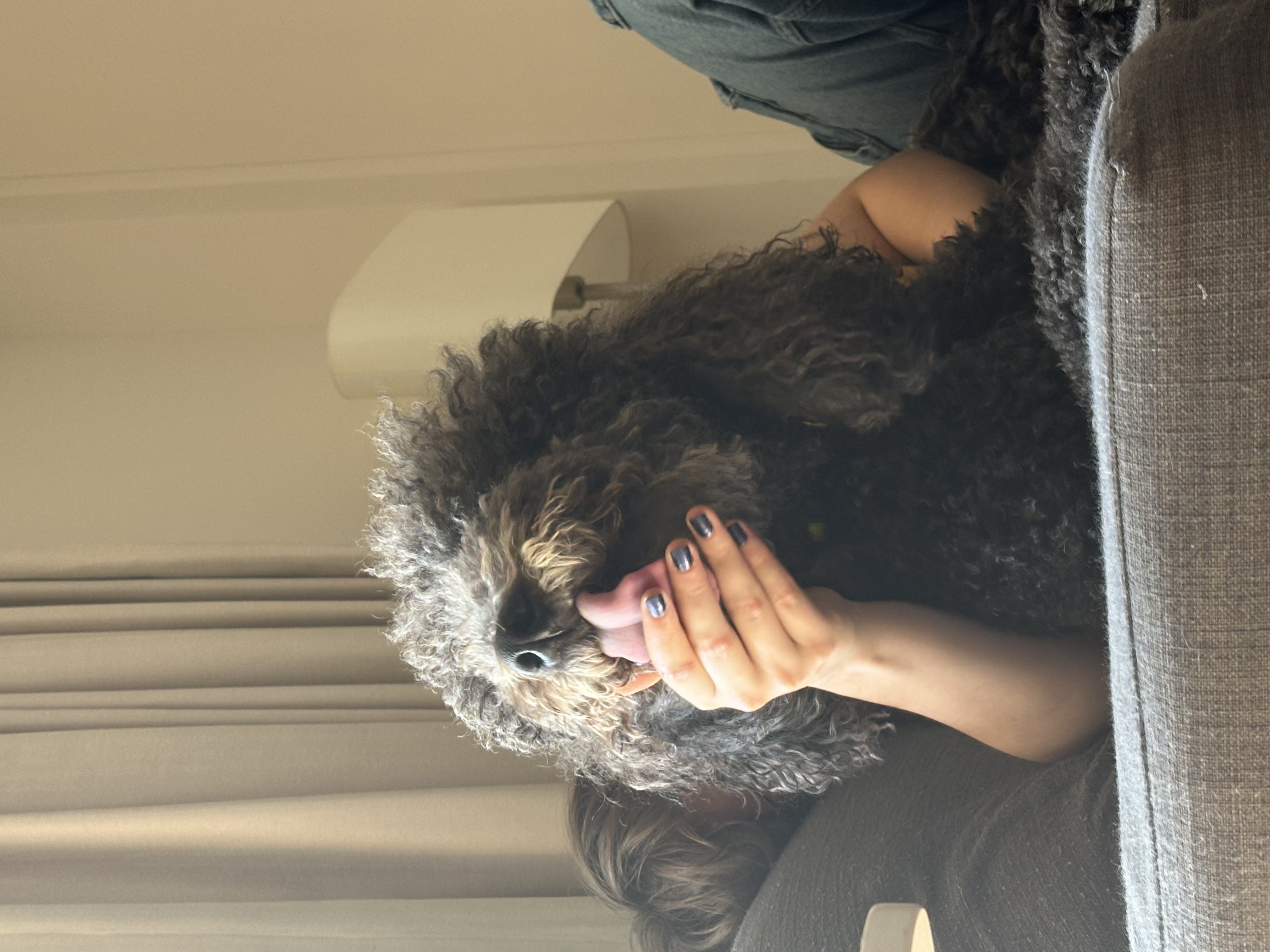 image-9