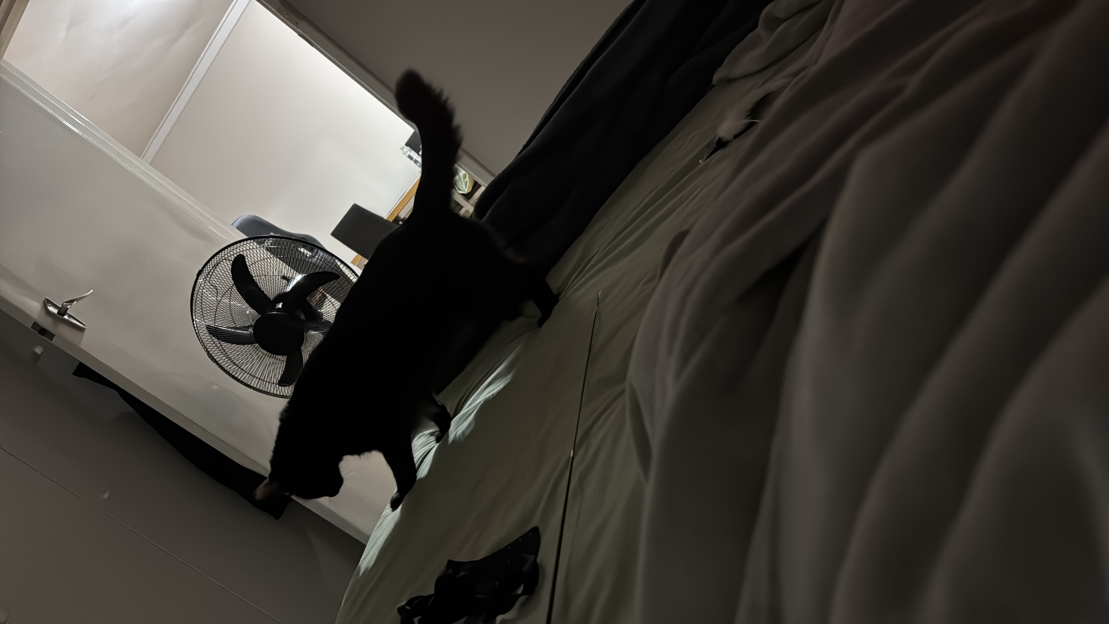 image-10