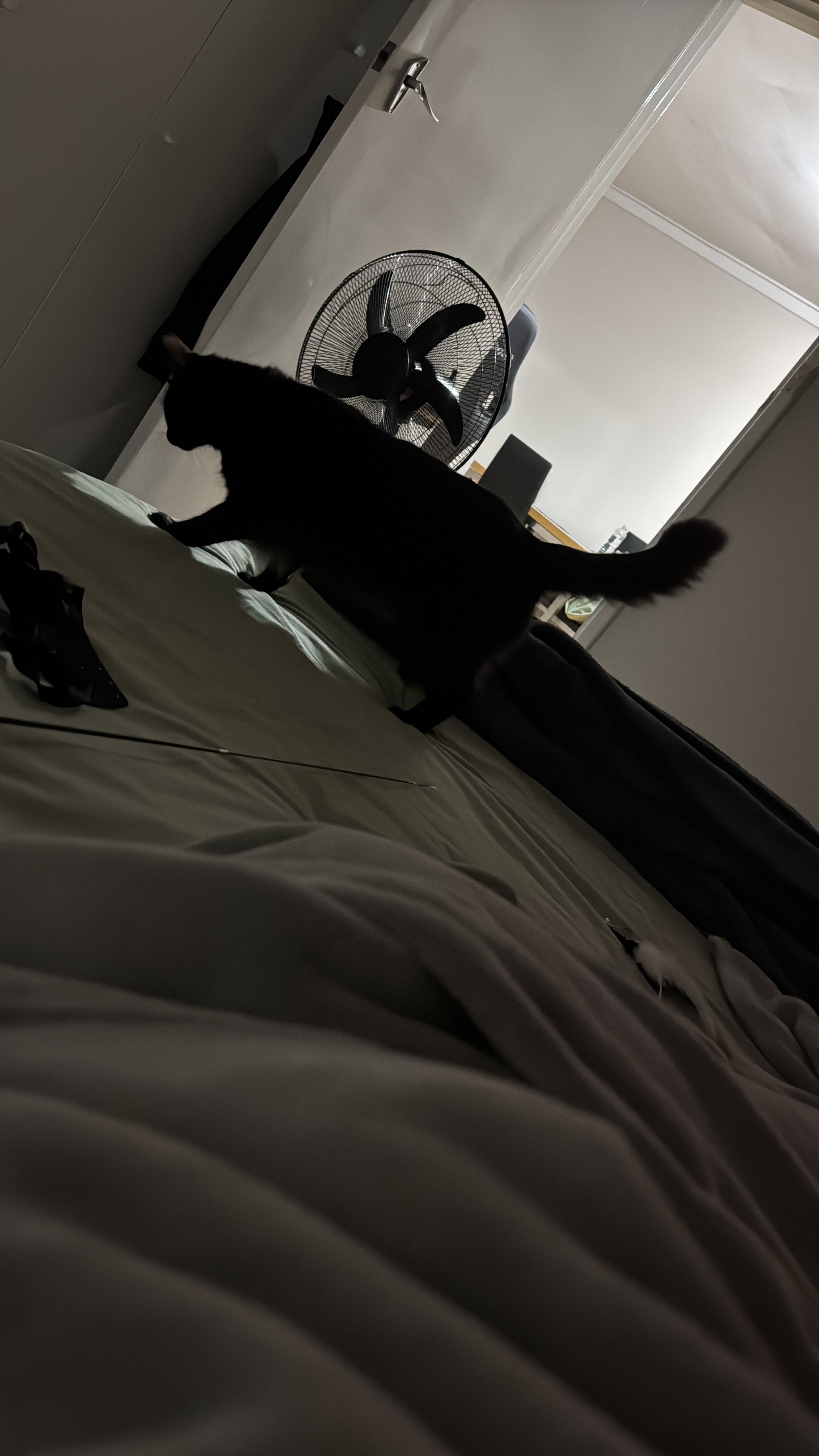 image-10