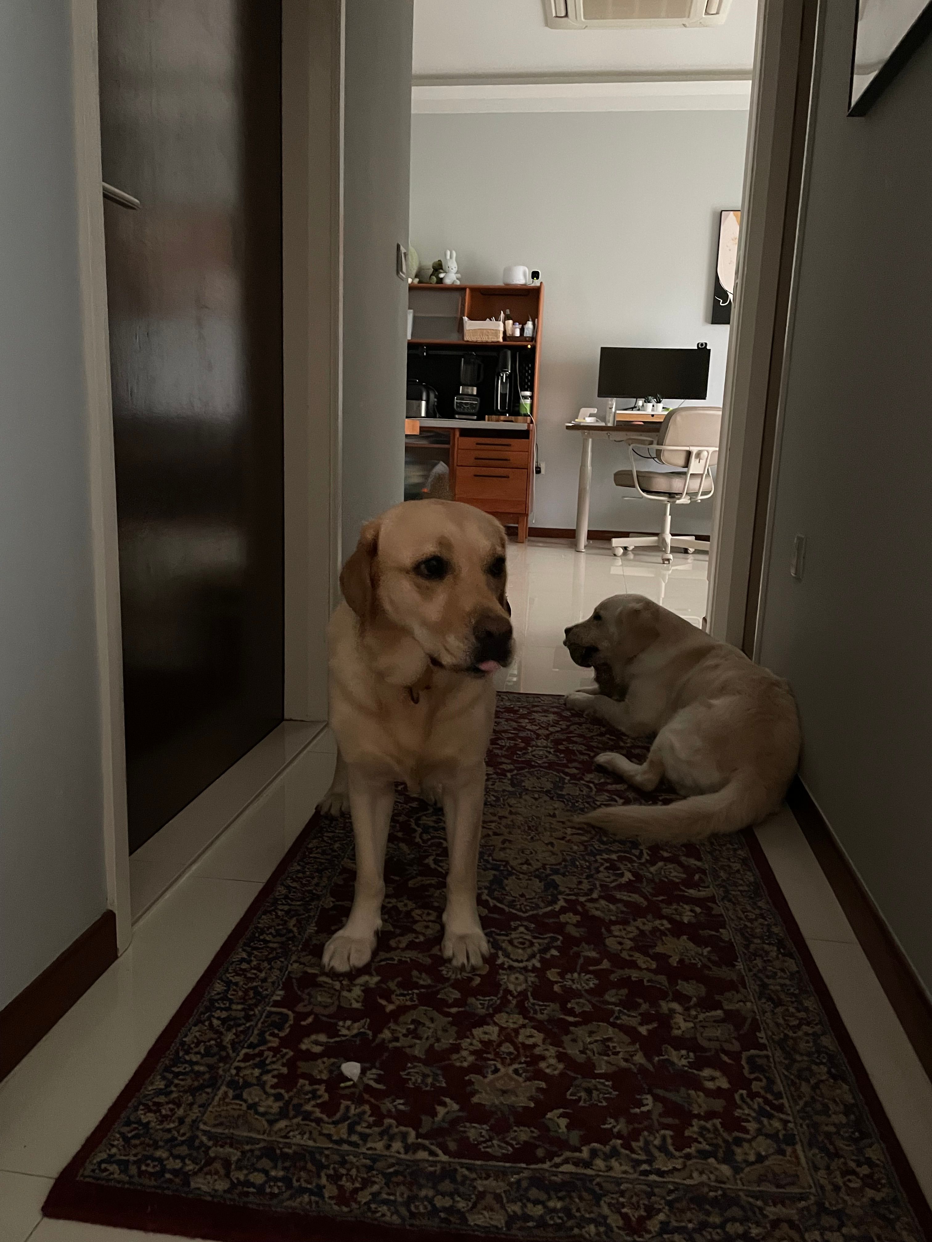 image-9