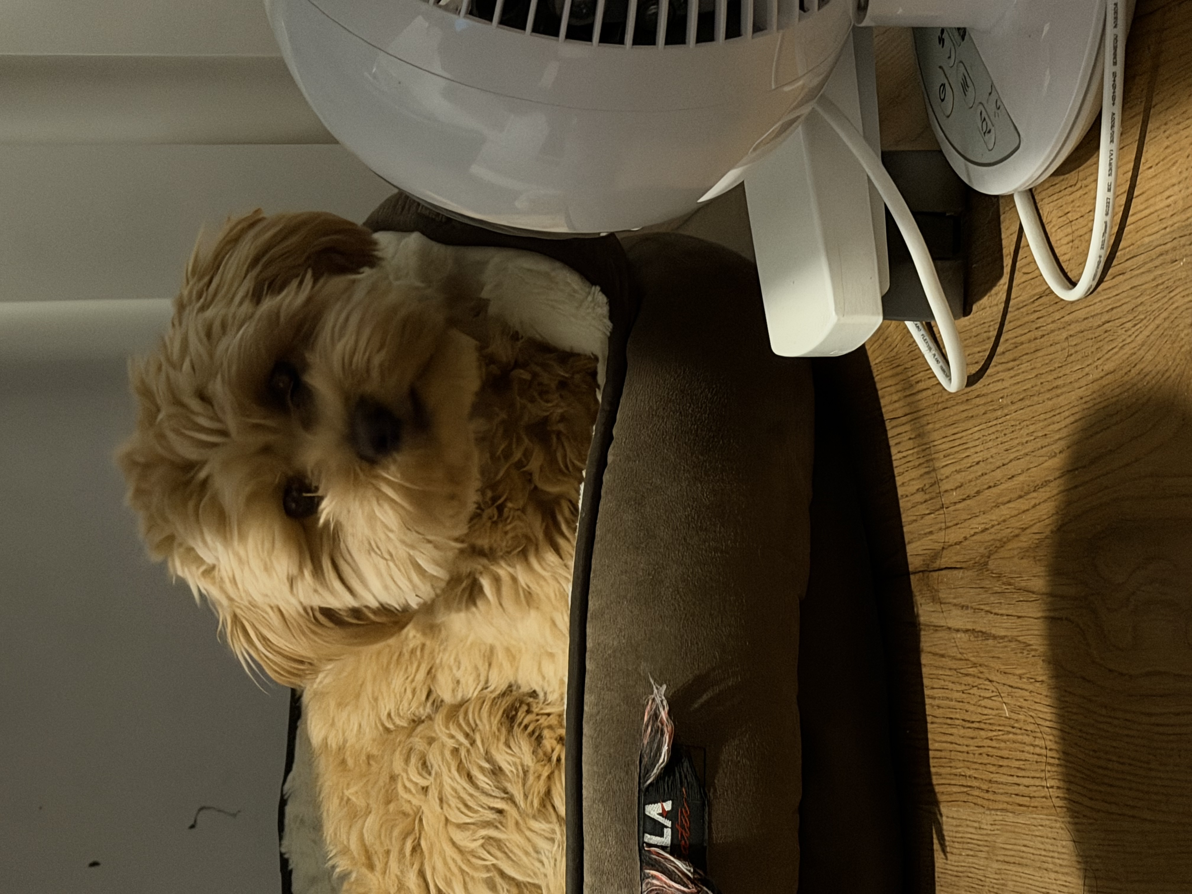 image-8