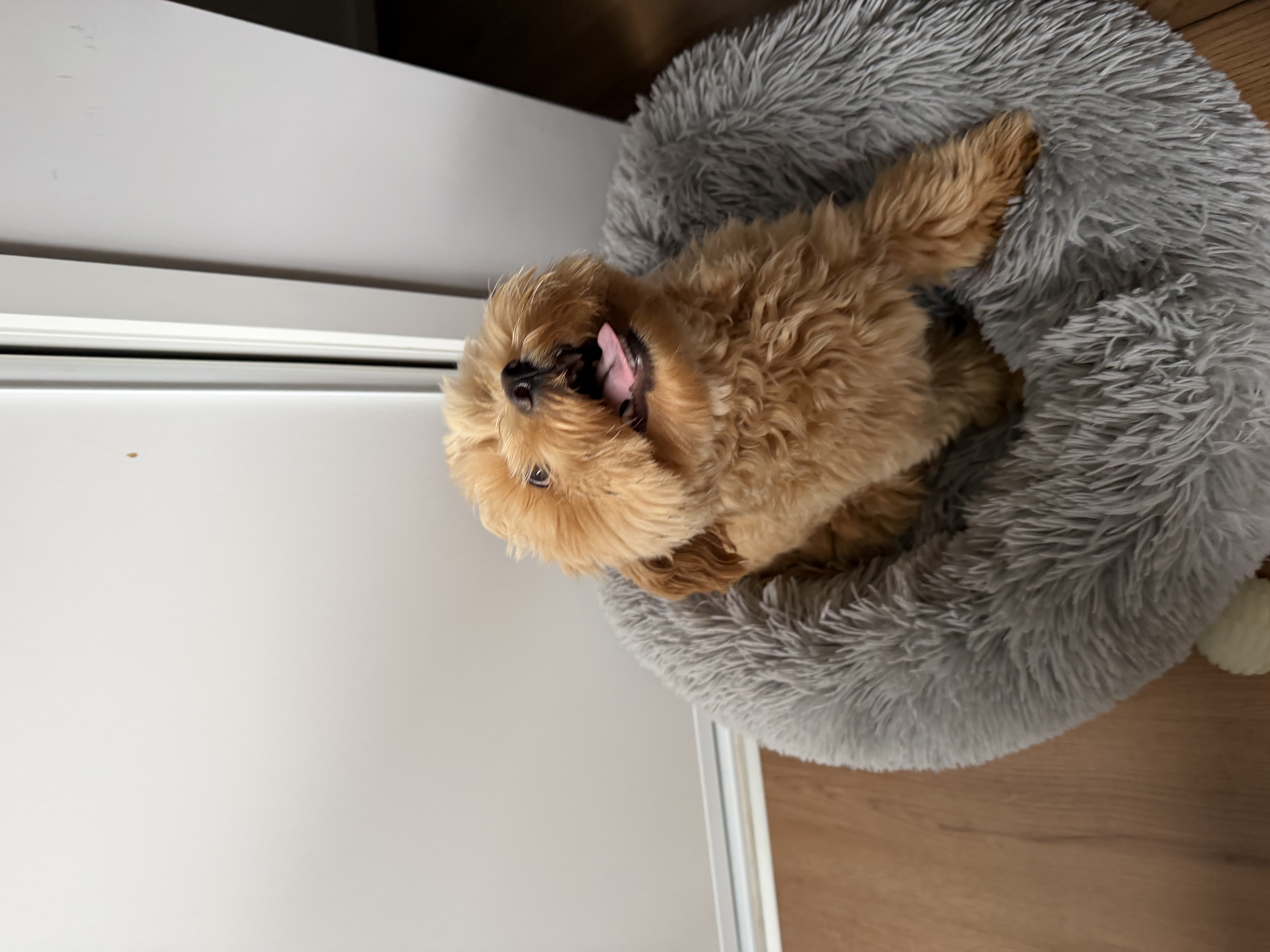 image-9