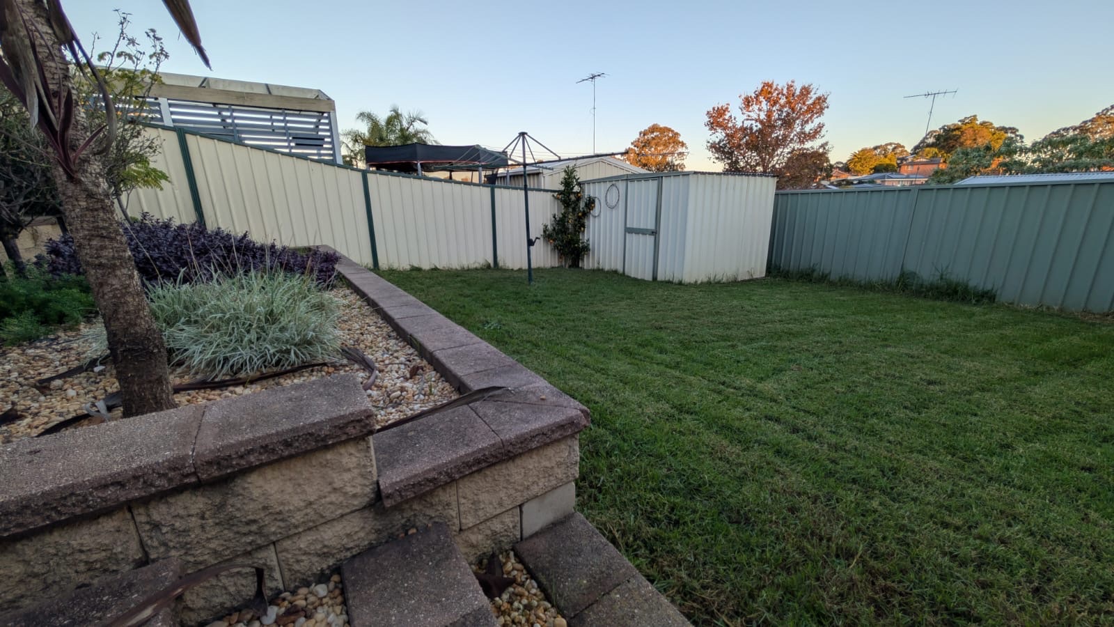 image-13