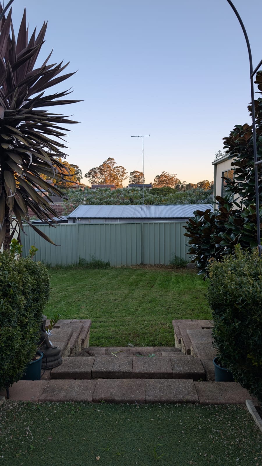 image-11