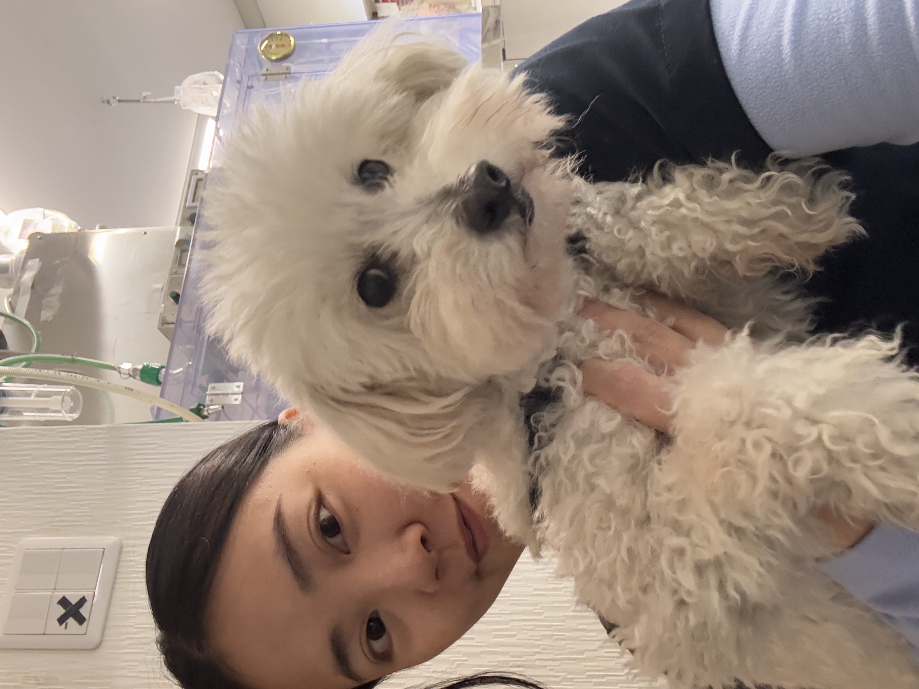 image-10