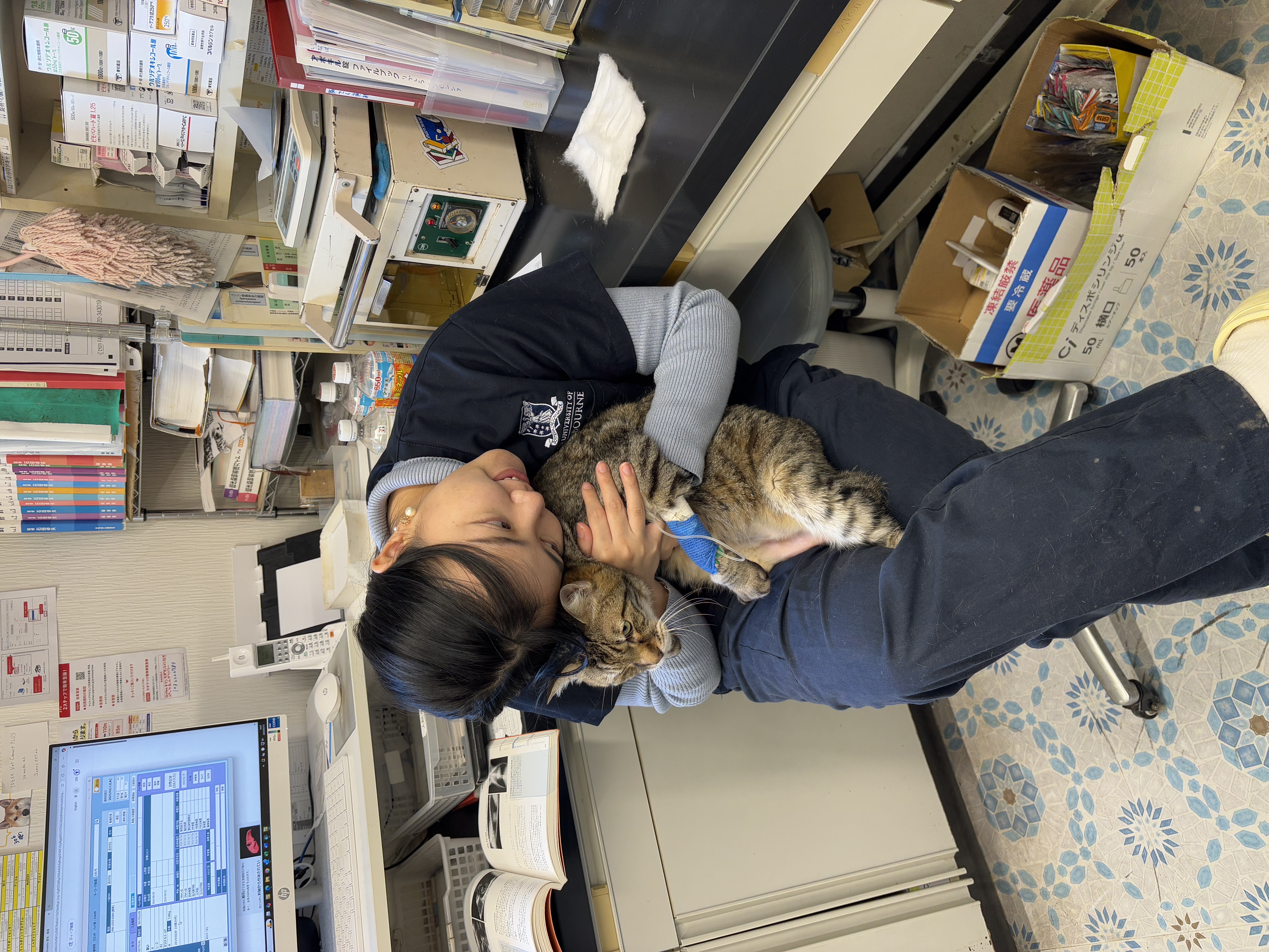 image-12