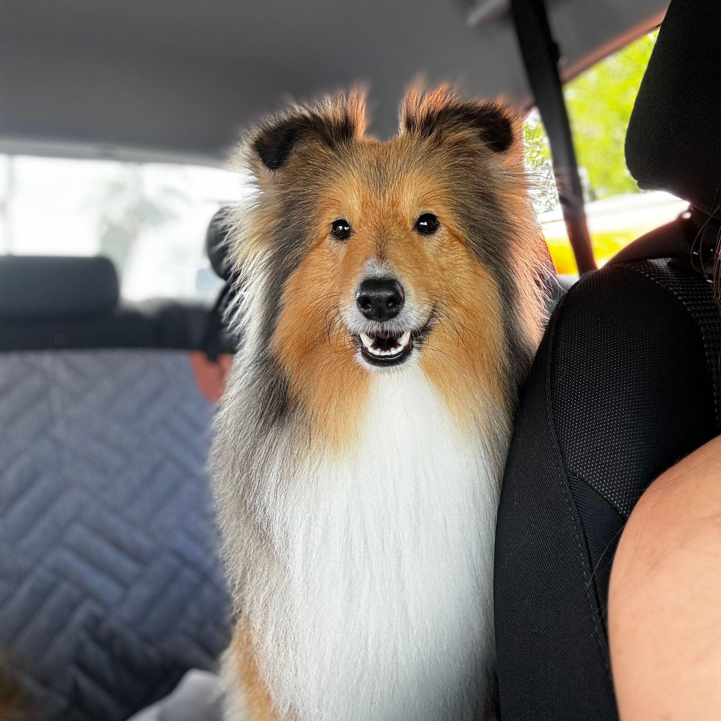 Winnie