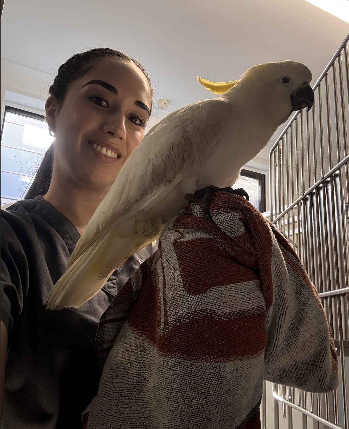 image-2