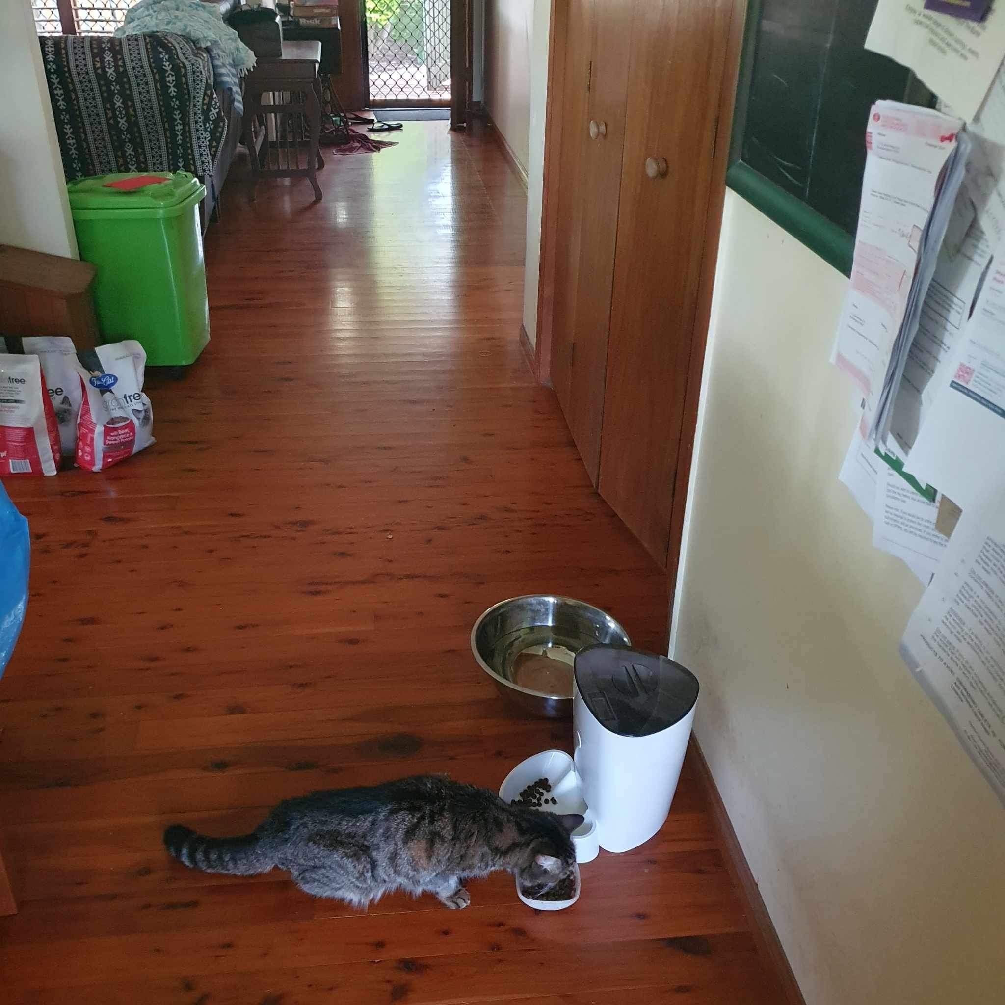 image-9