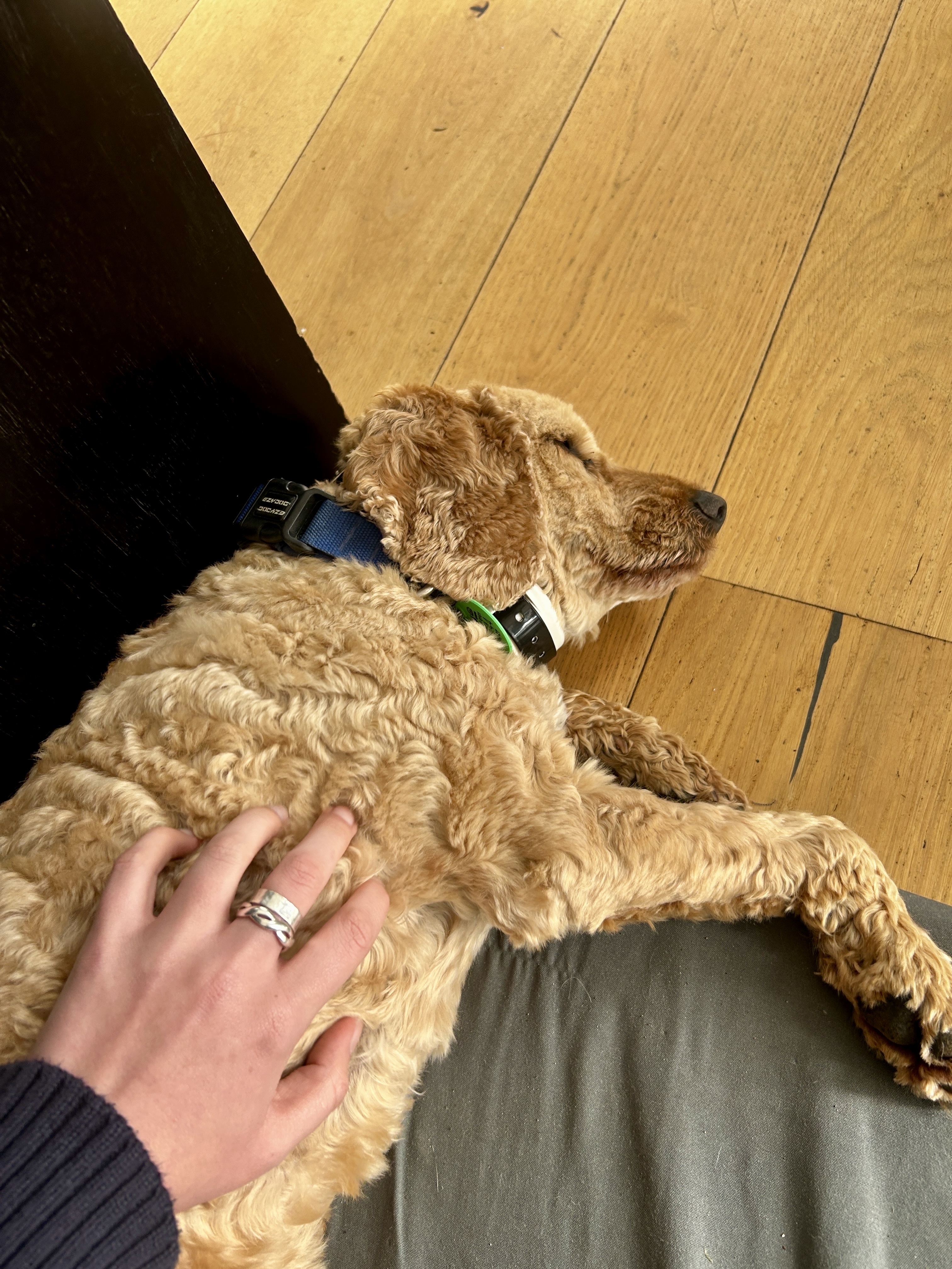 image-5