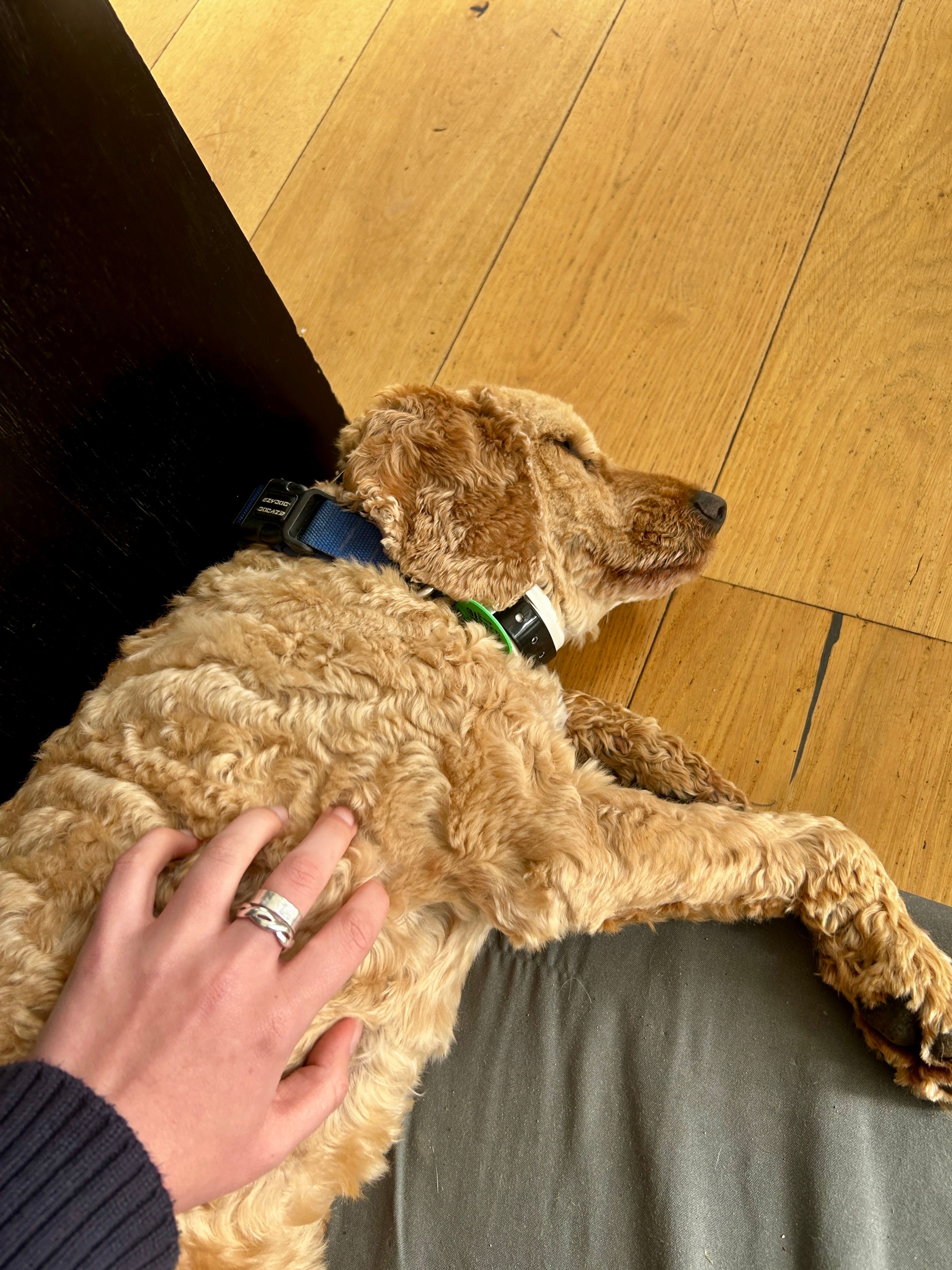 image-5