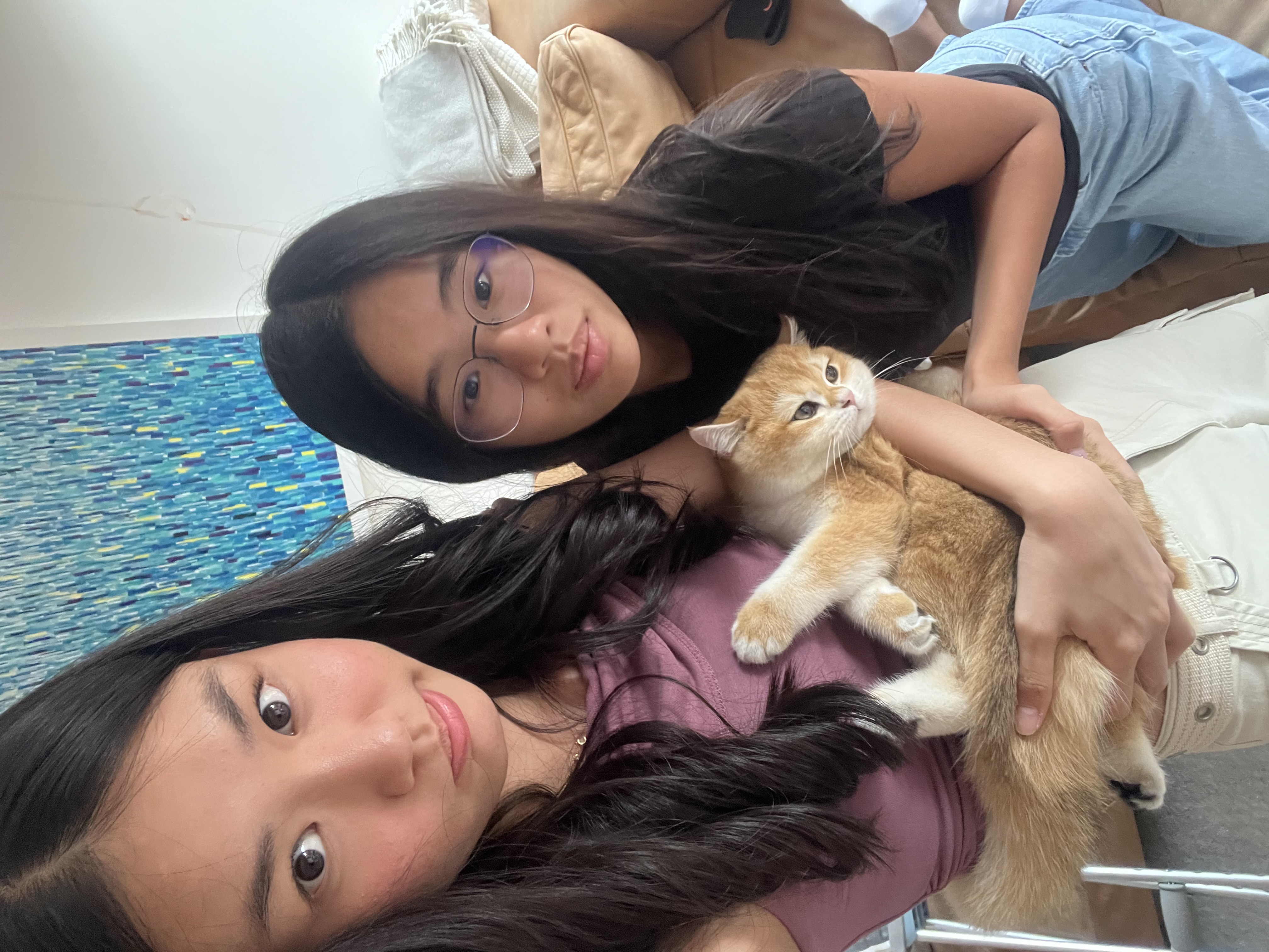 image-8