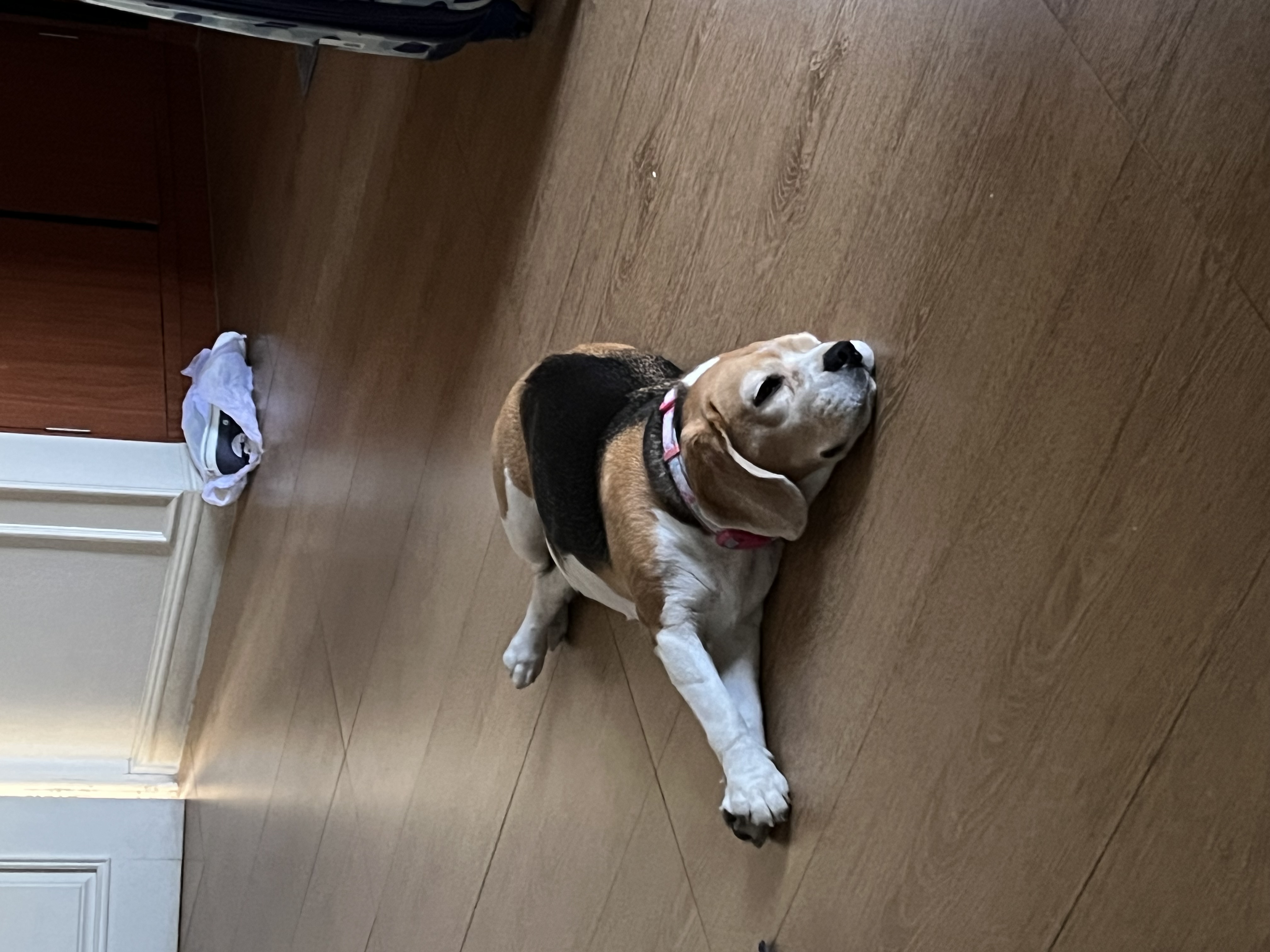 image-5