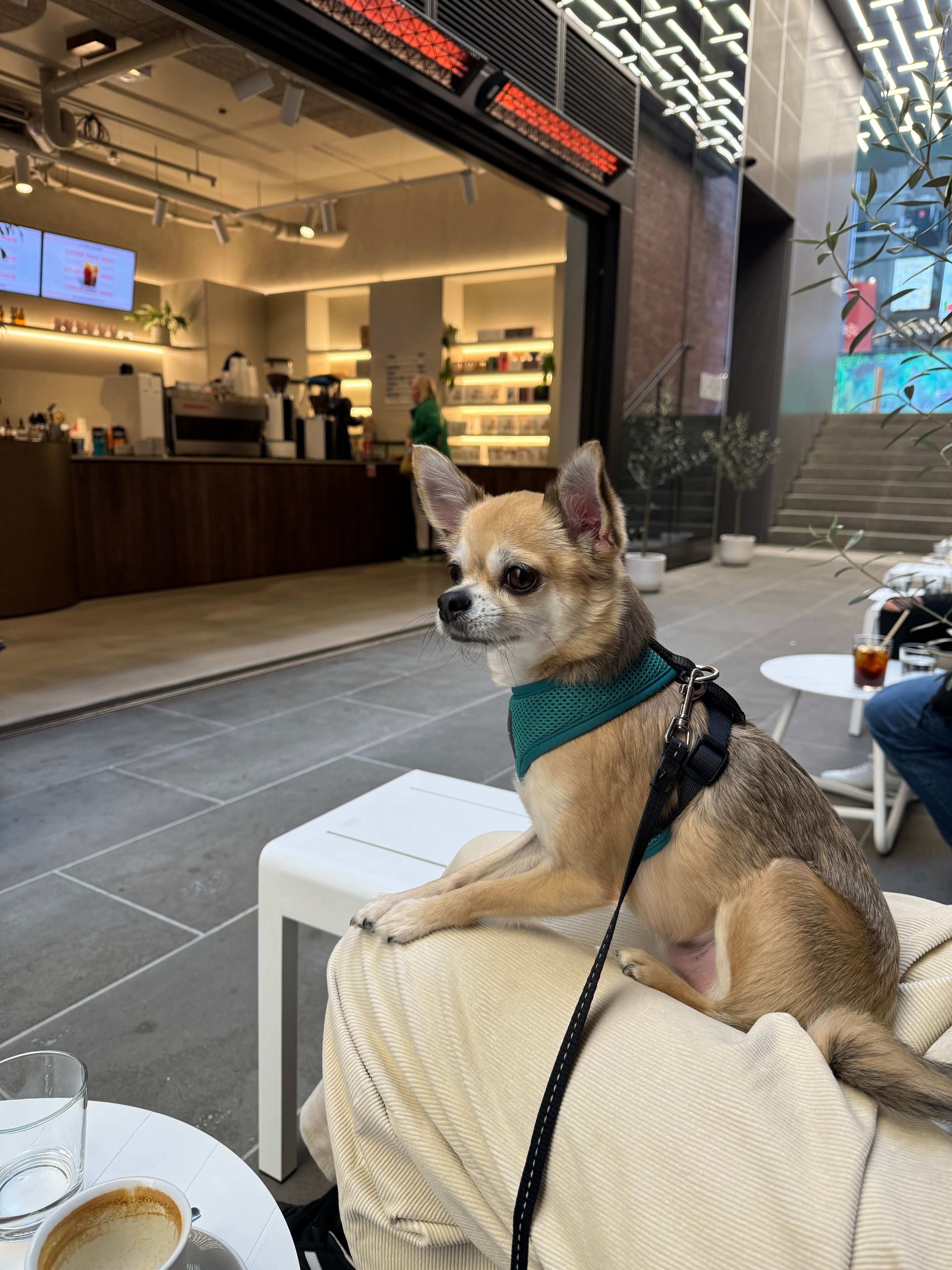 image-12