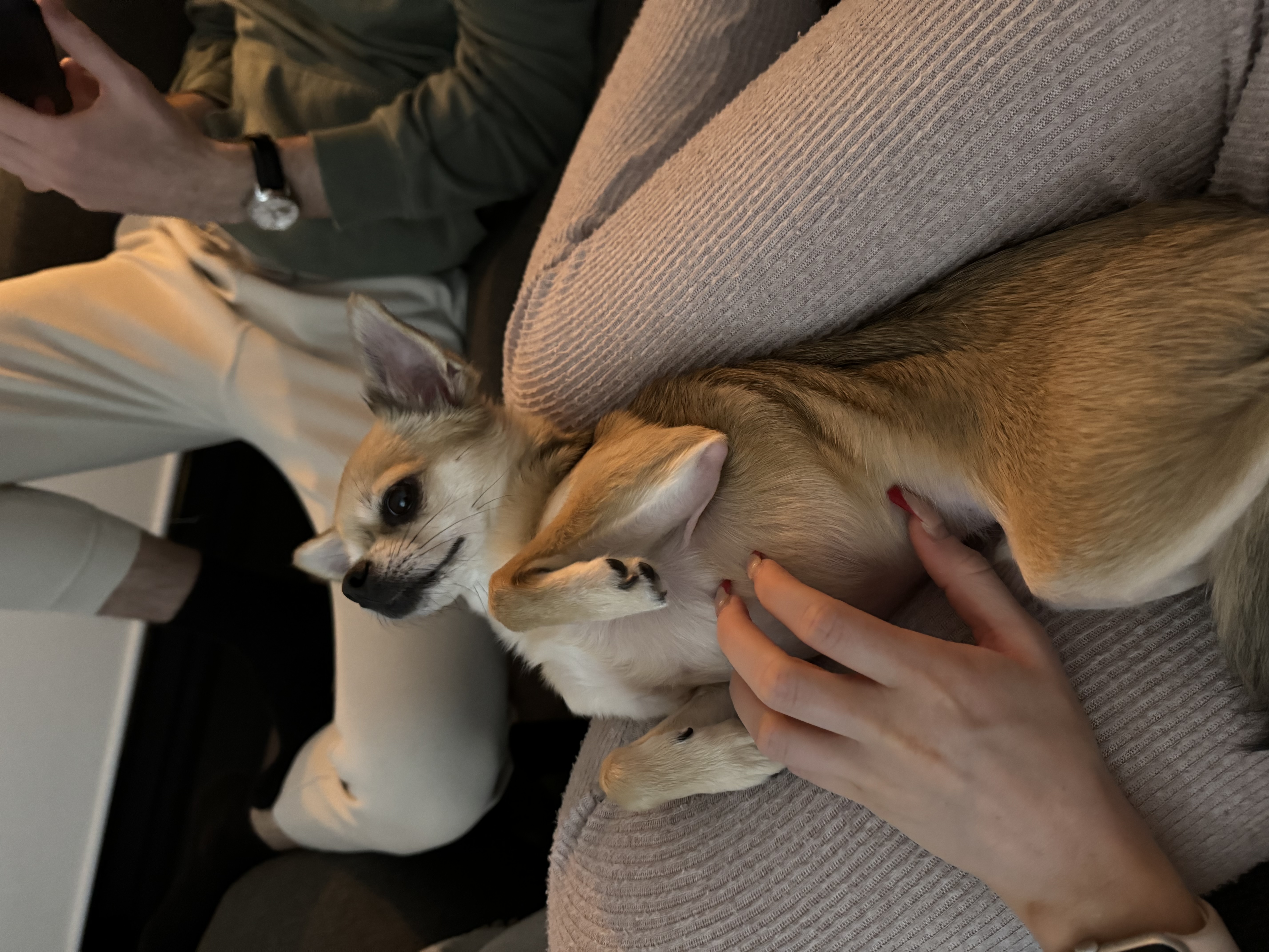 image-16
