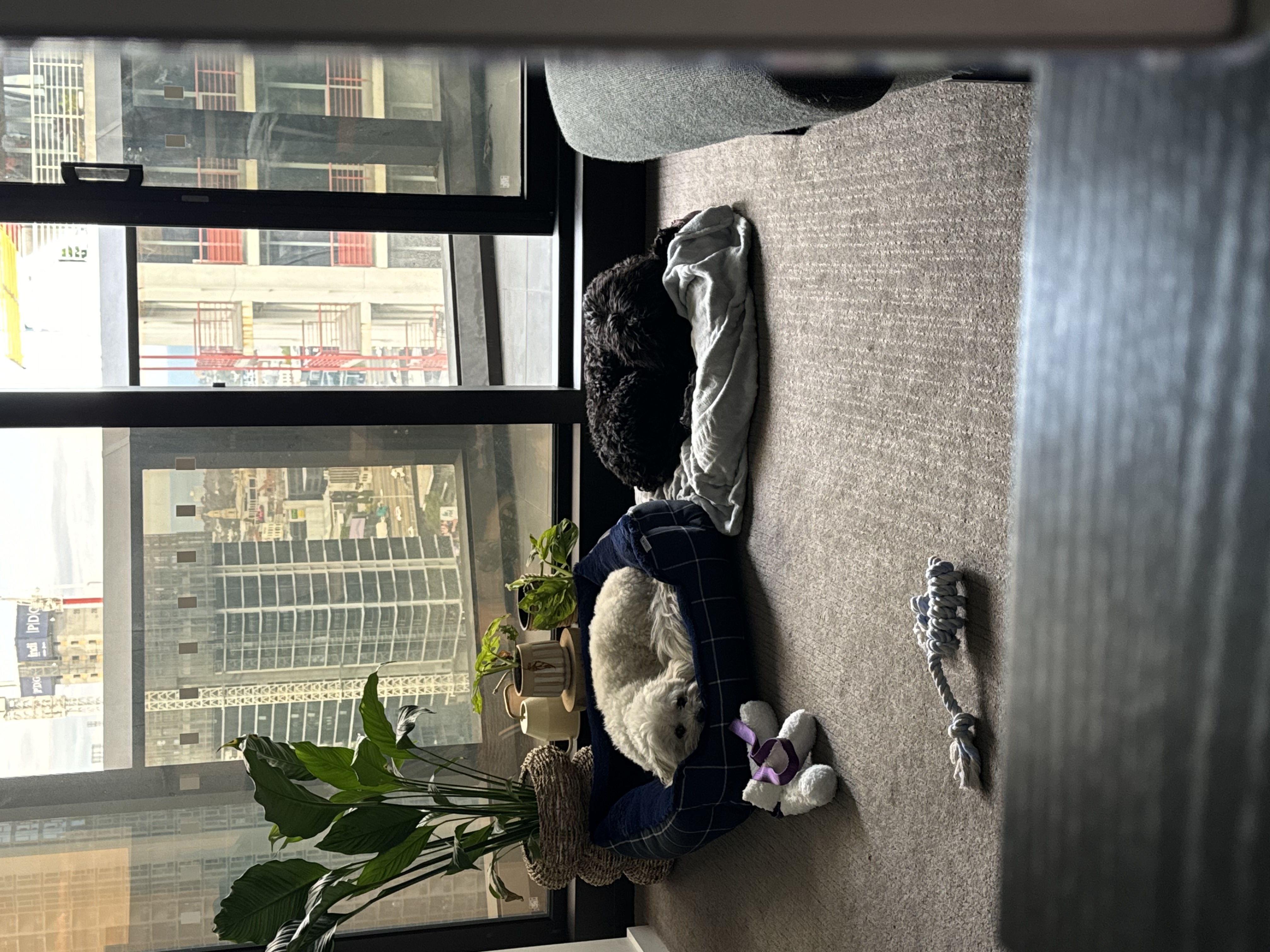 image-19