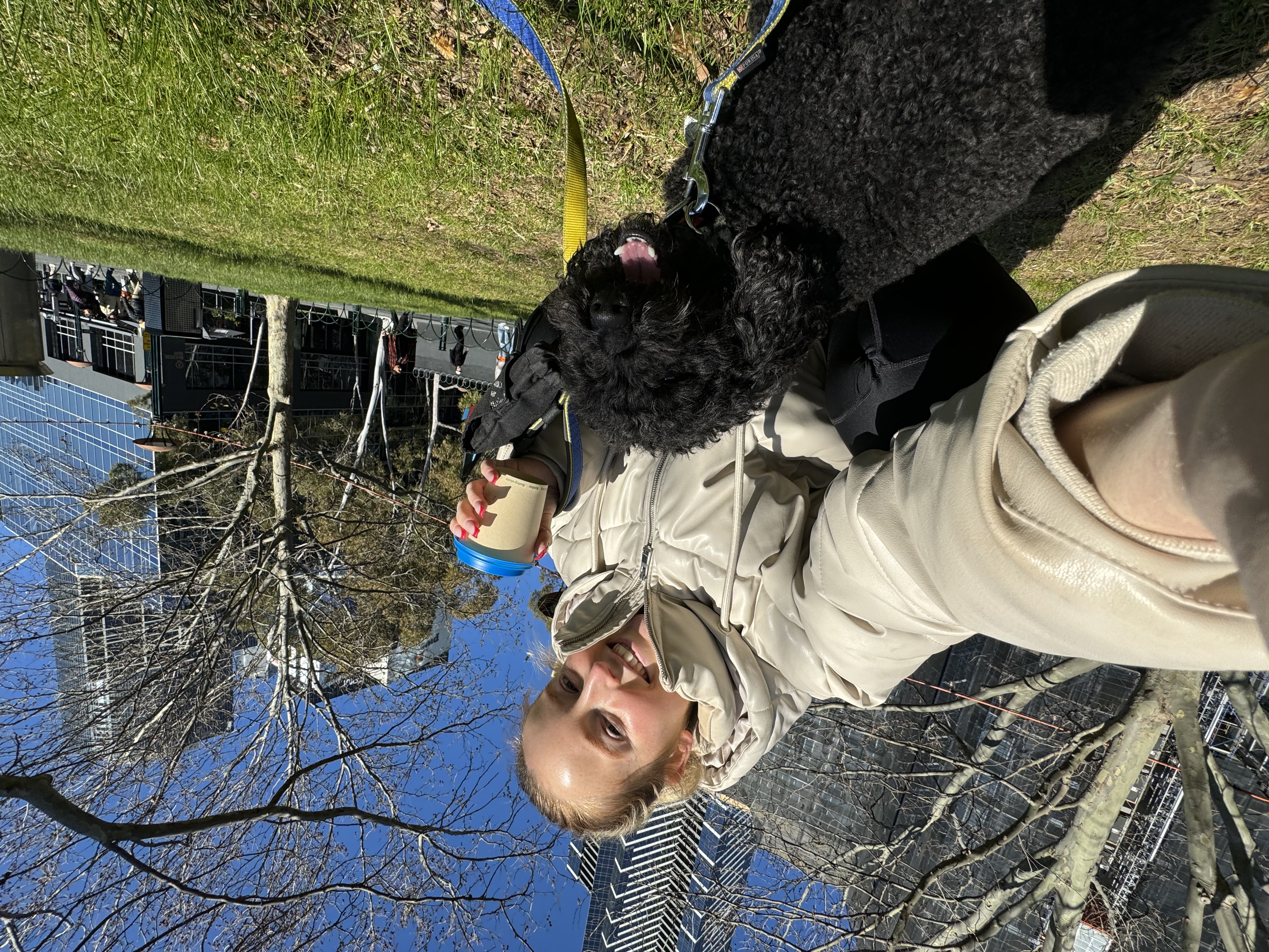 image-0