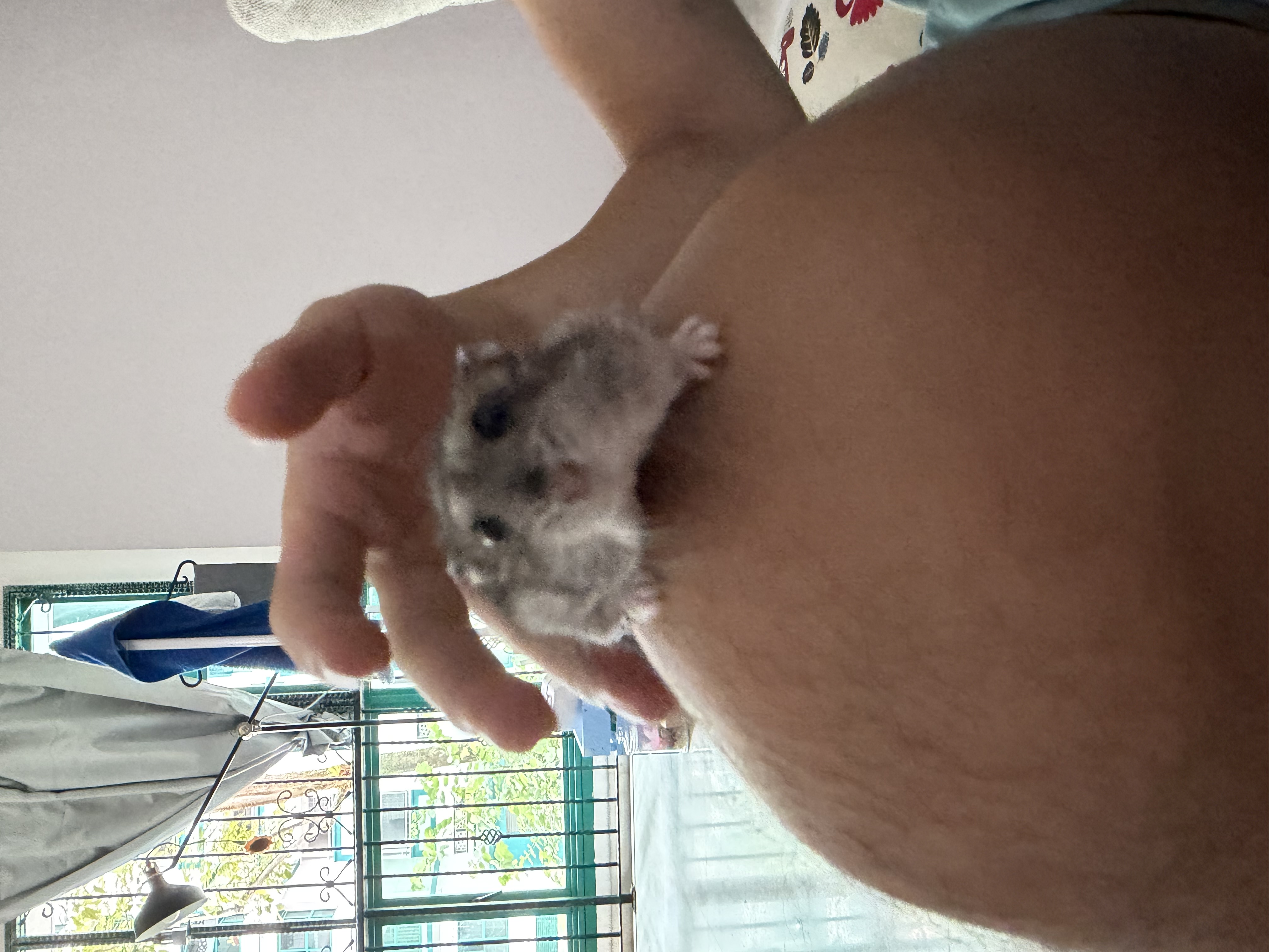 image-9