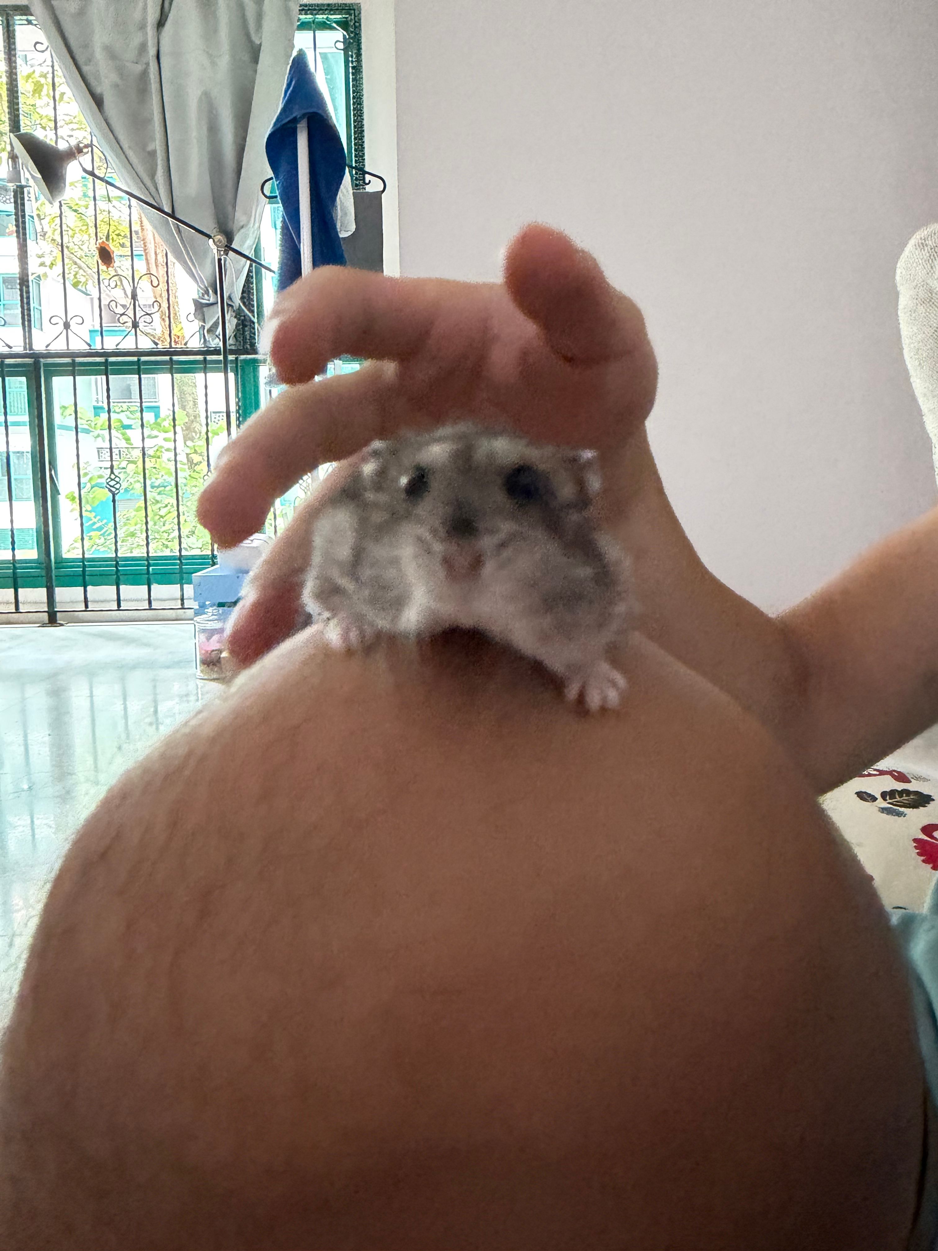 image-9