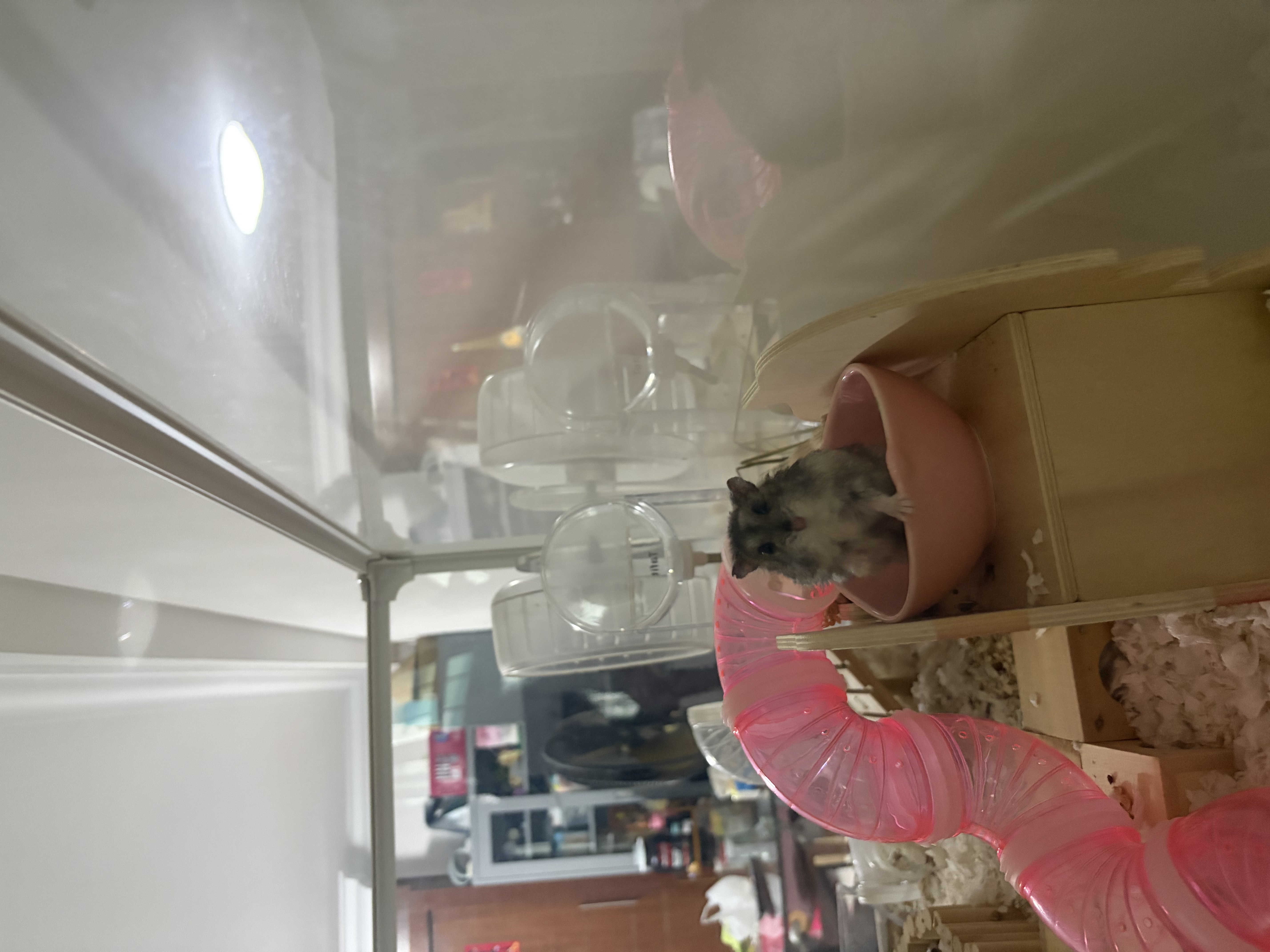 image-10
