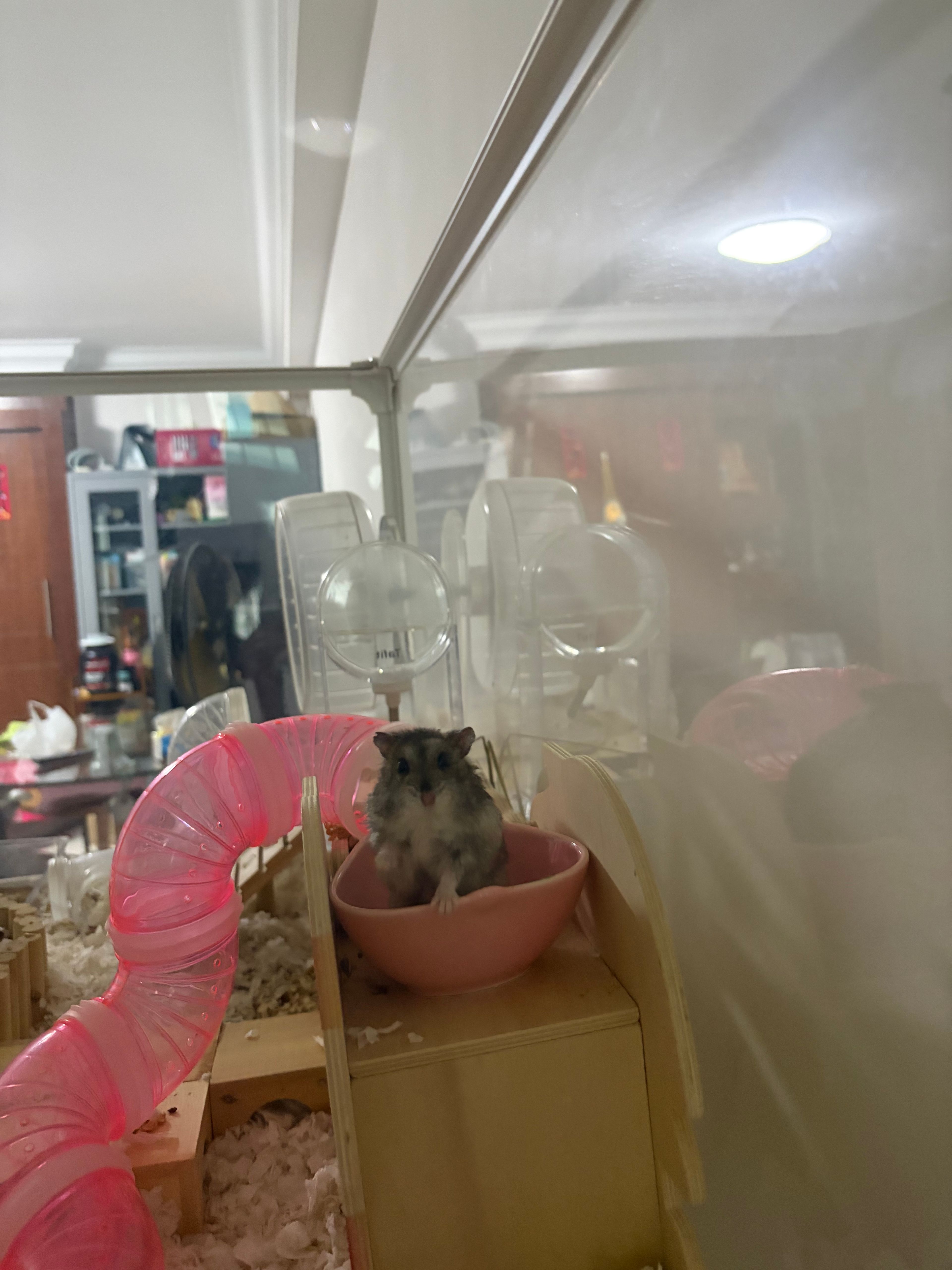 image-10