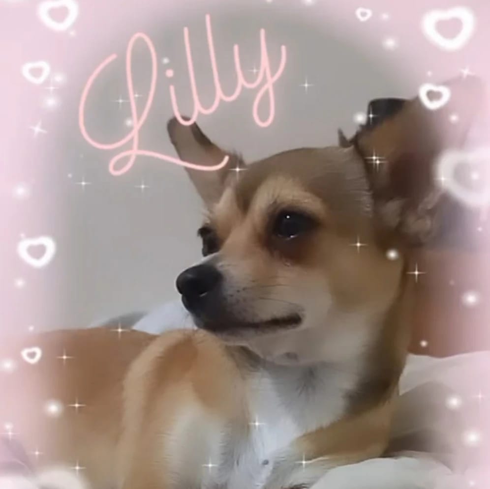 Lilly
