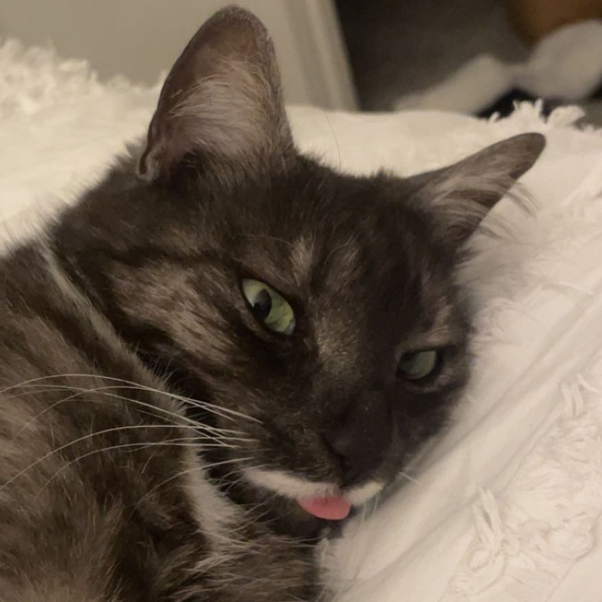 Moo