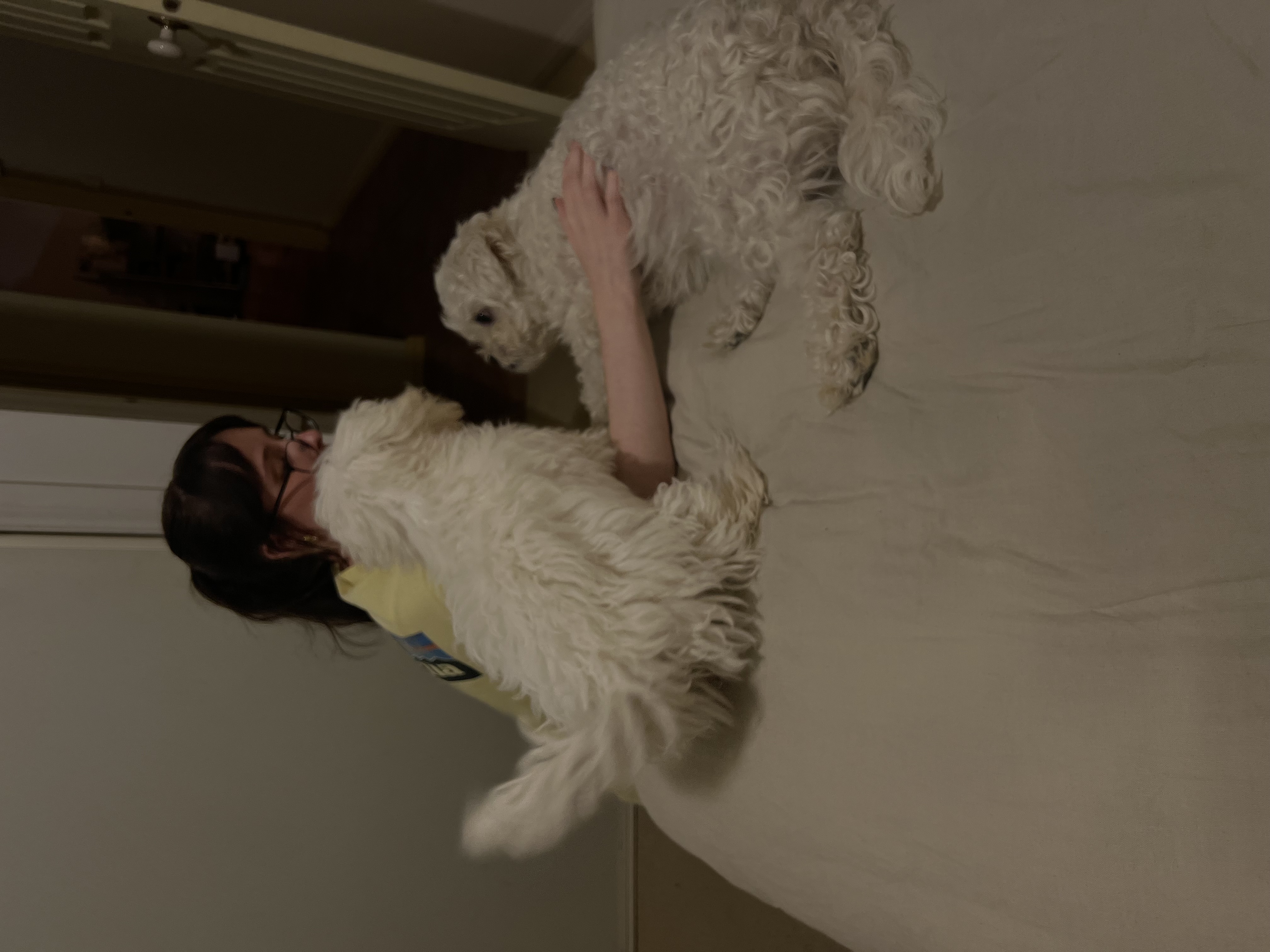 image-5