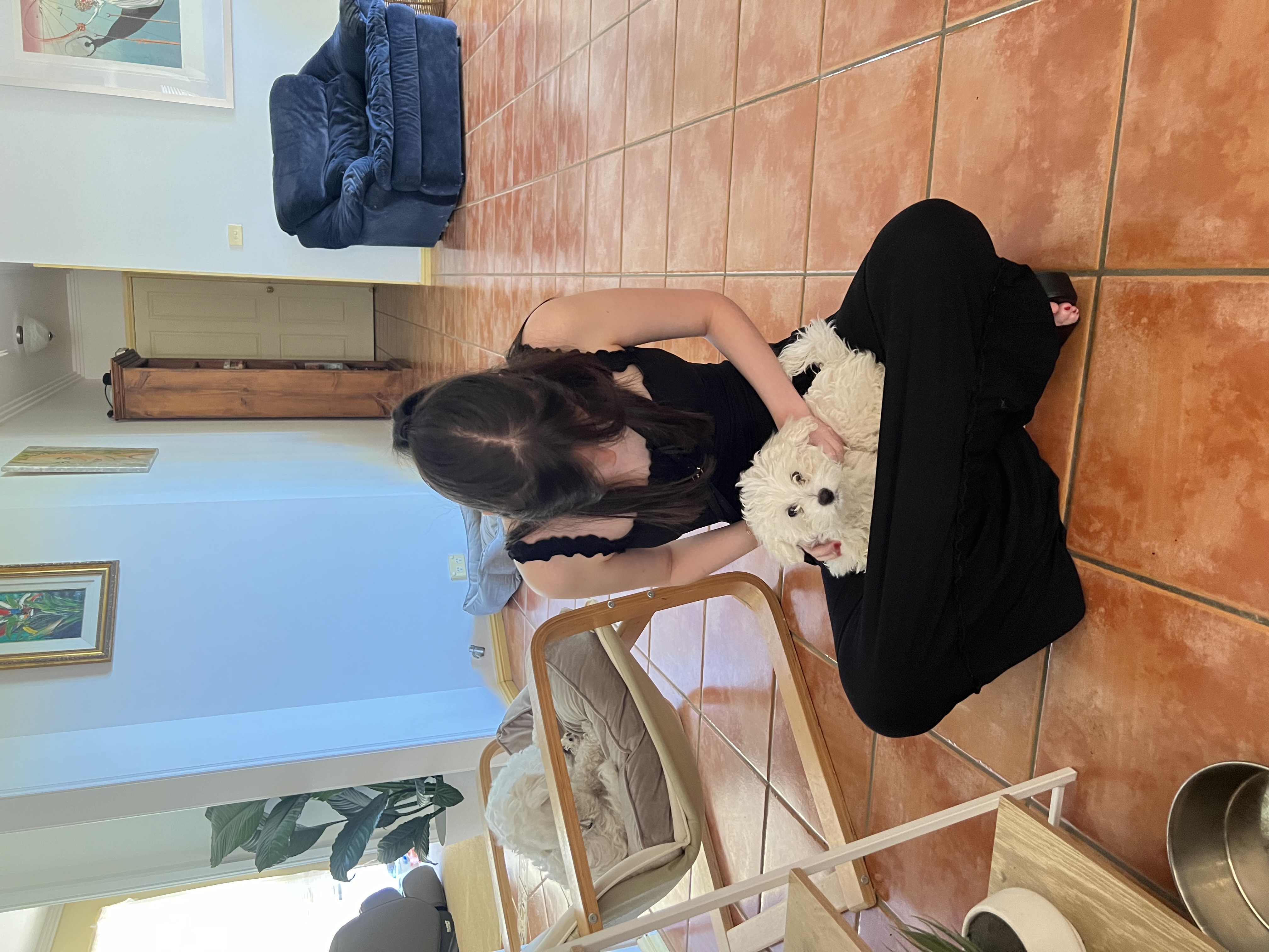 image-7