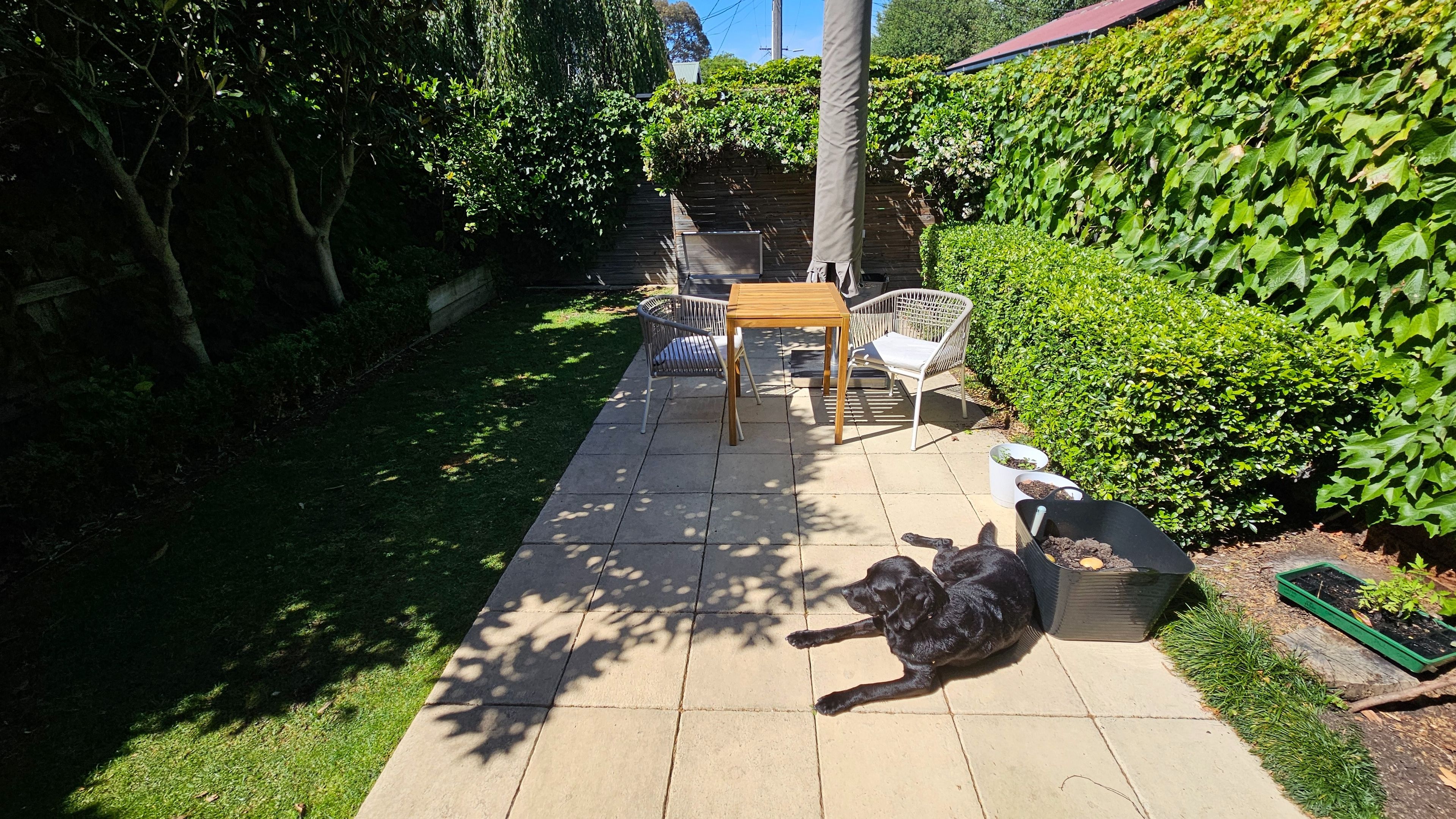 image-11