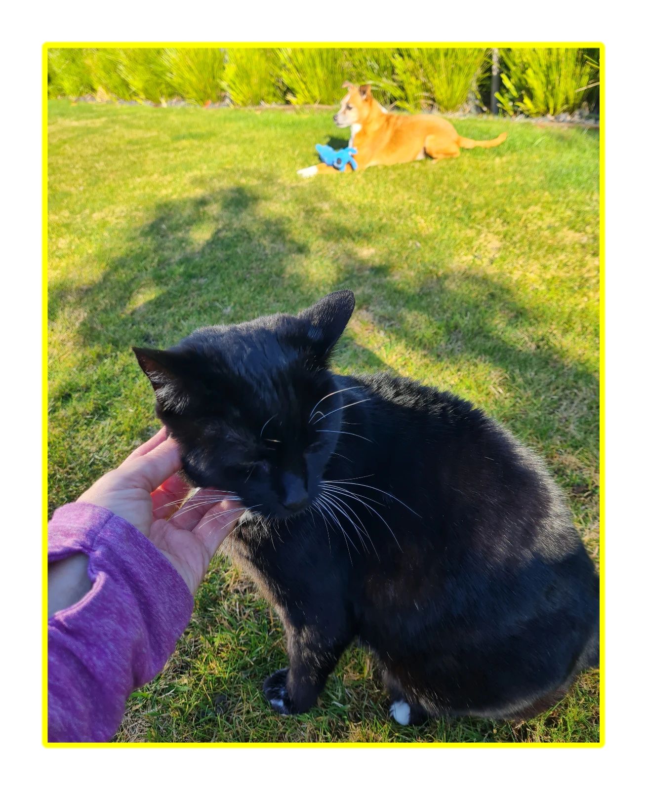 image-14