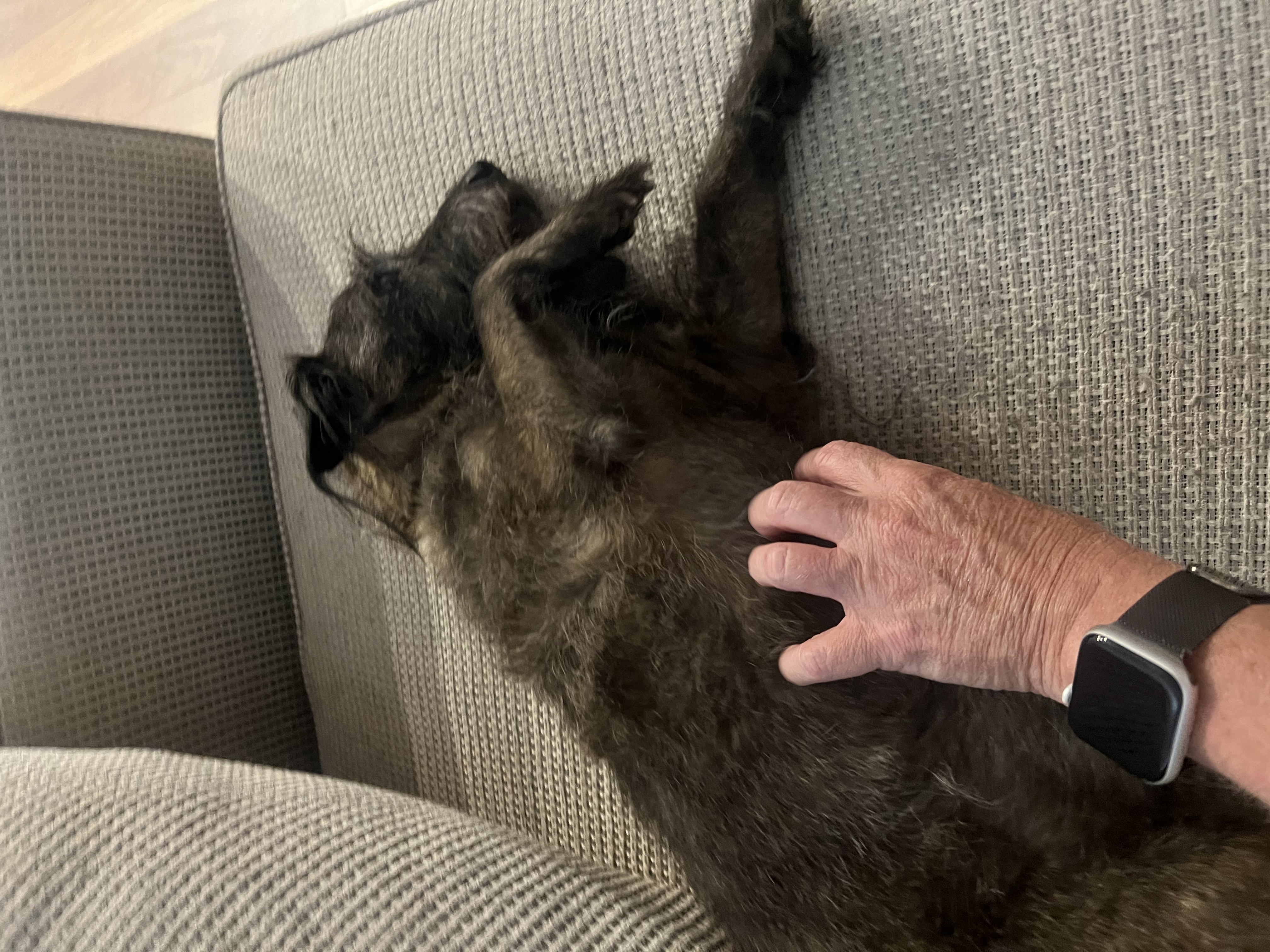 image-9
