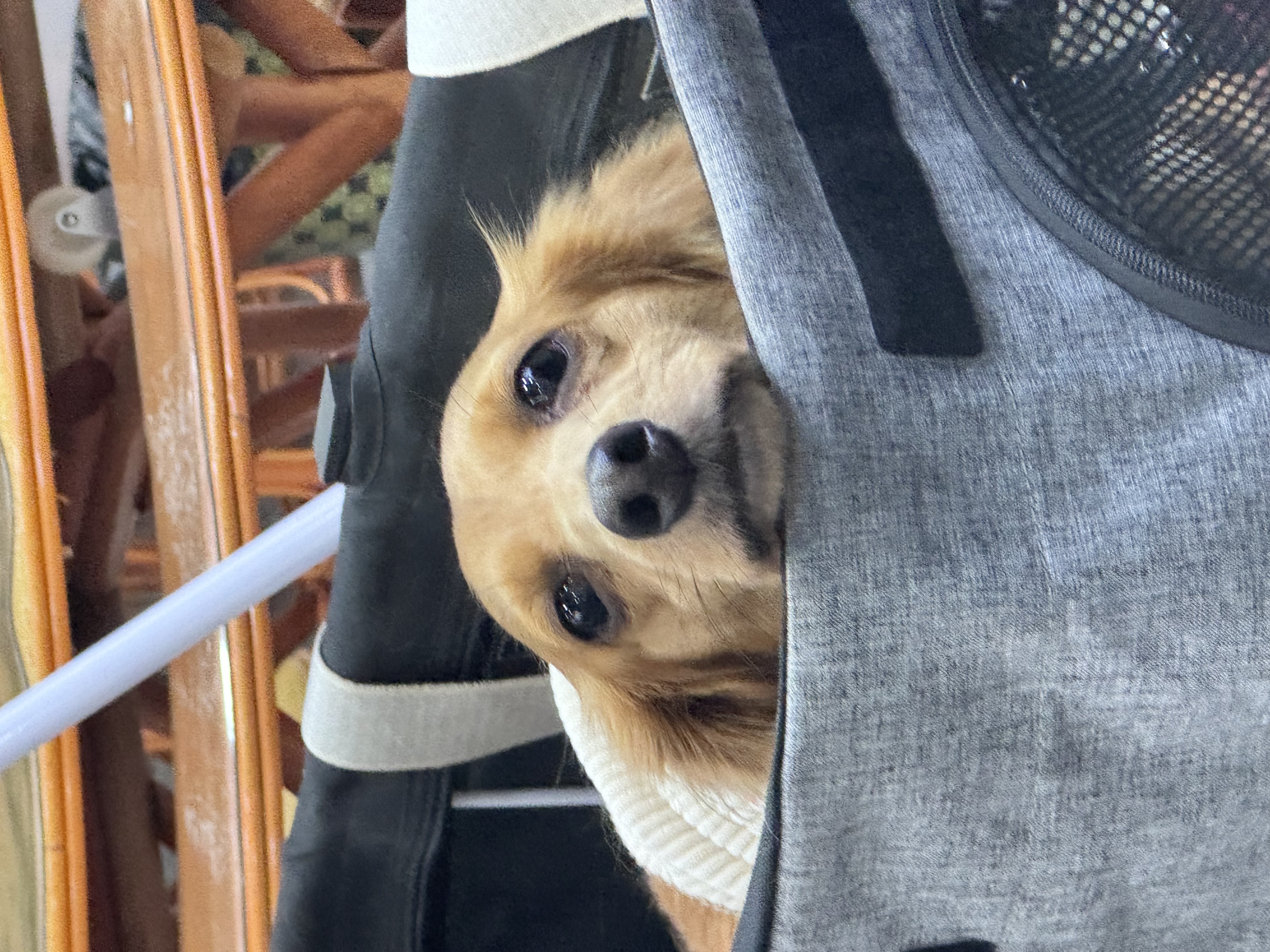 image-0
