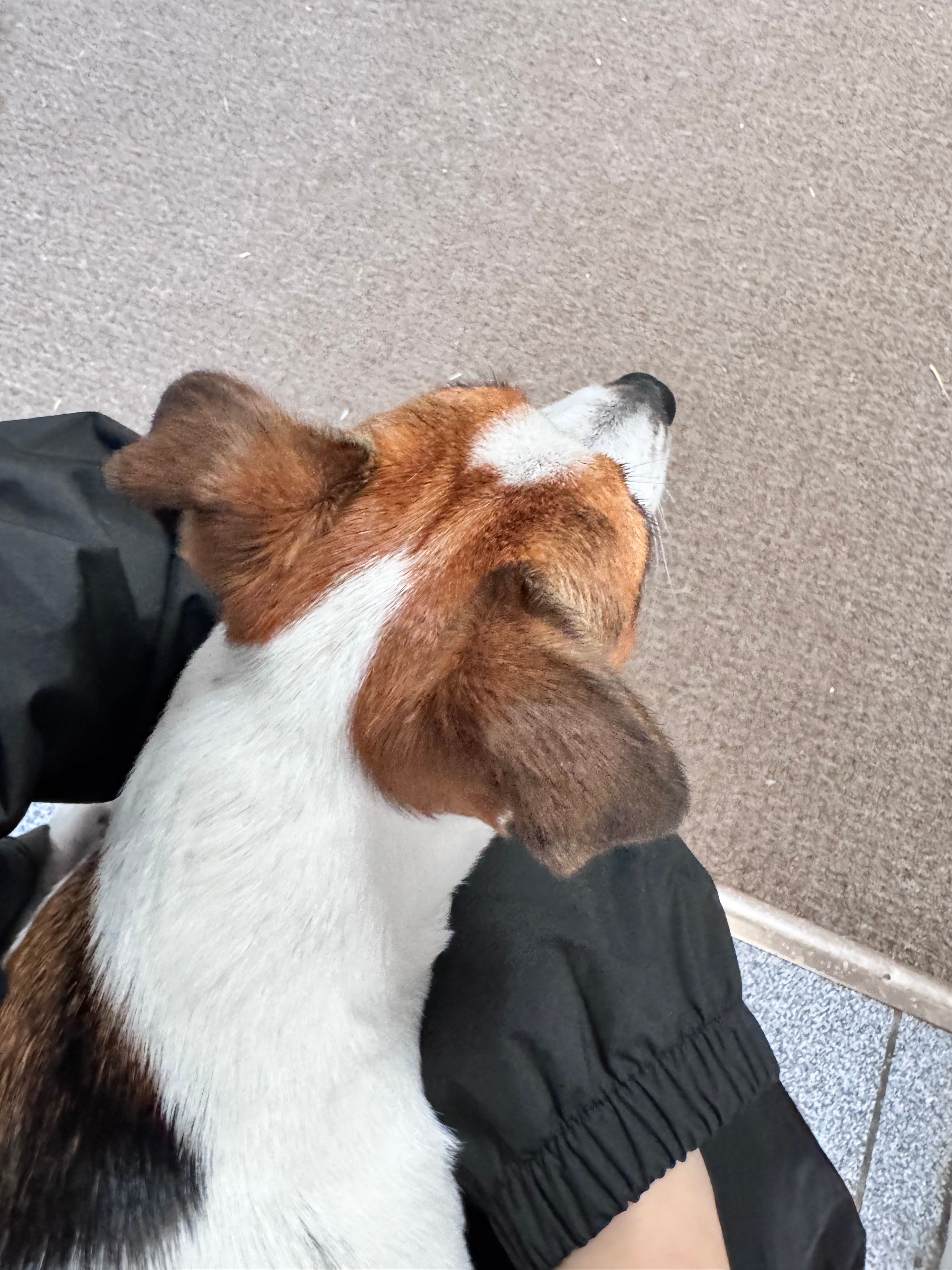 image-7