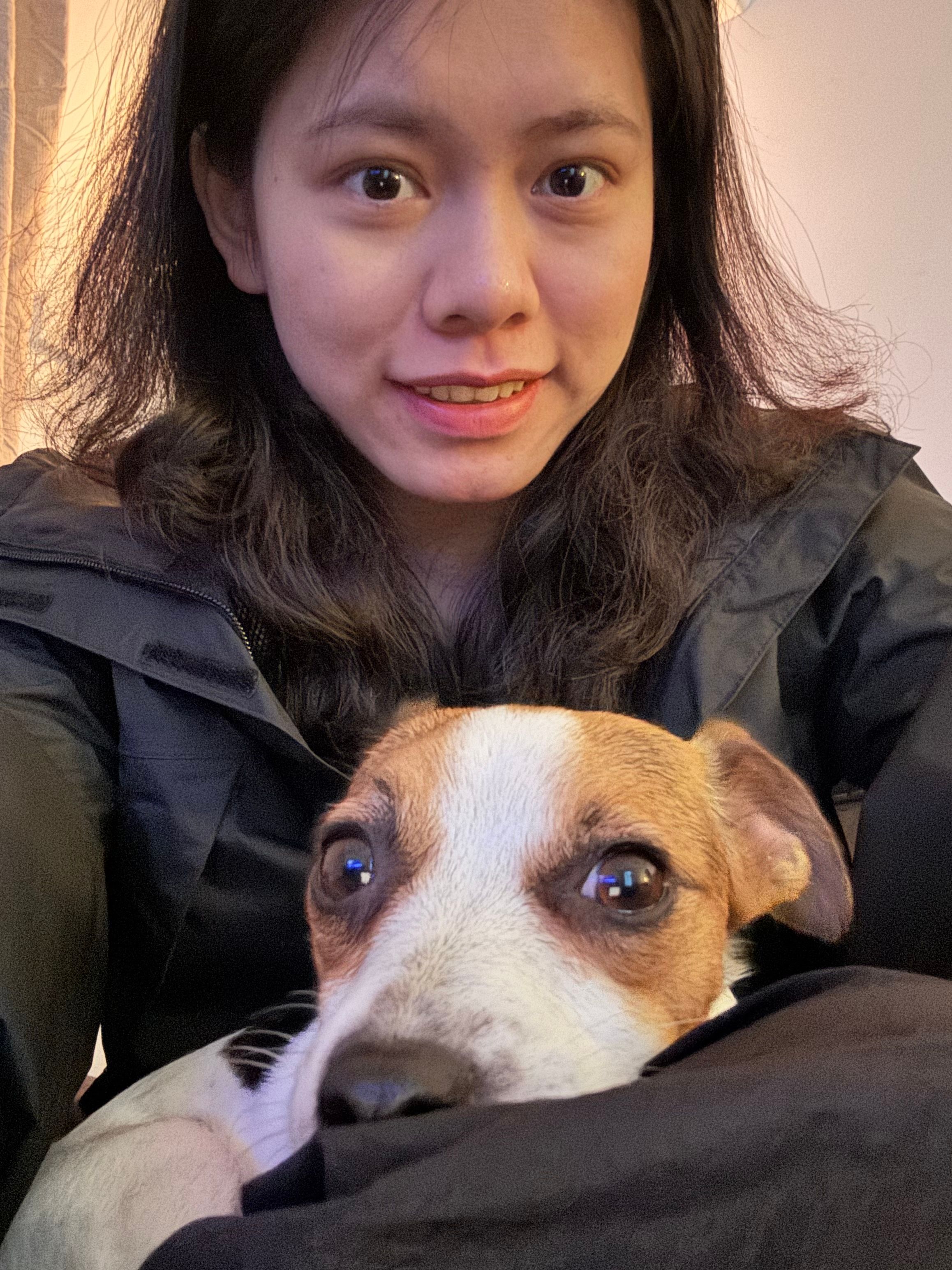 image-8