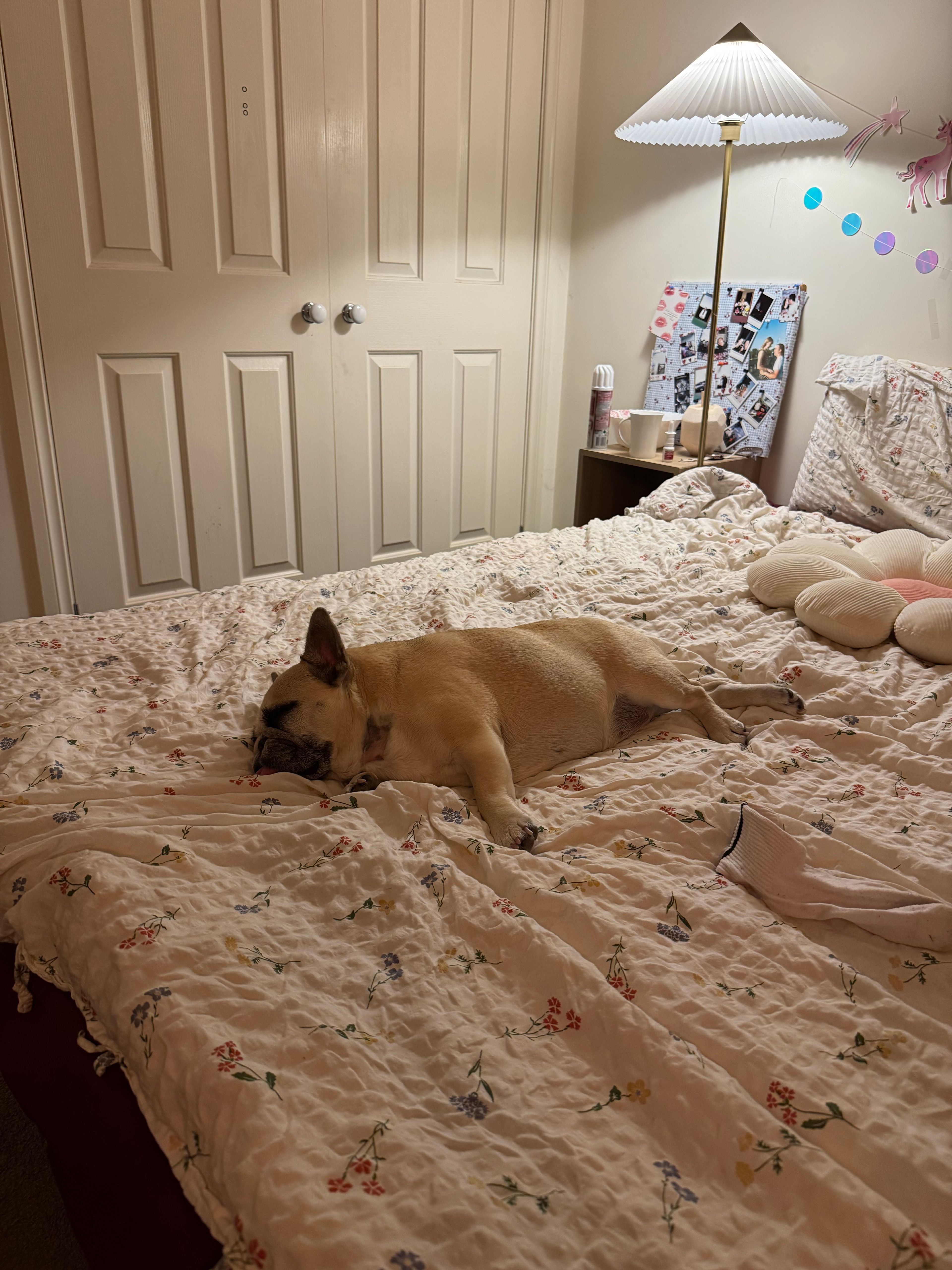 image-20