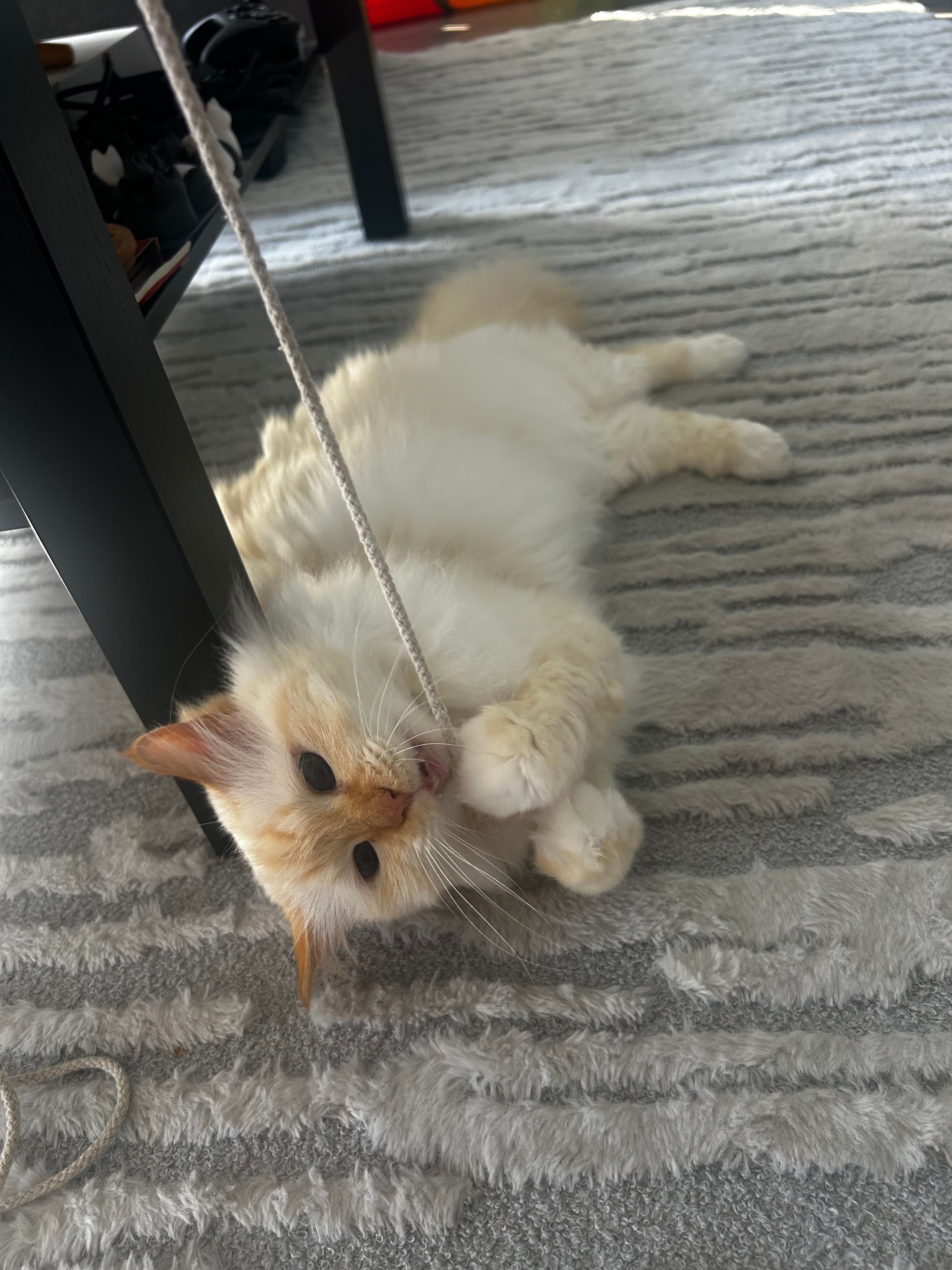 image-6