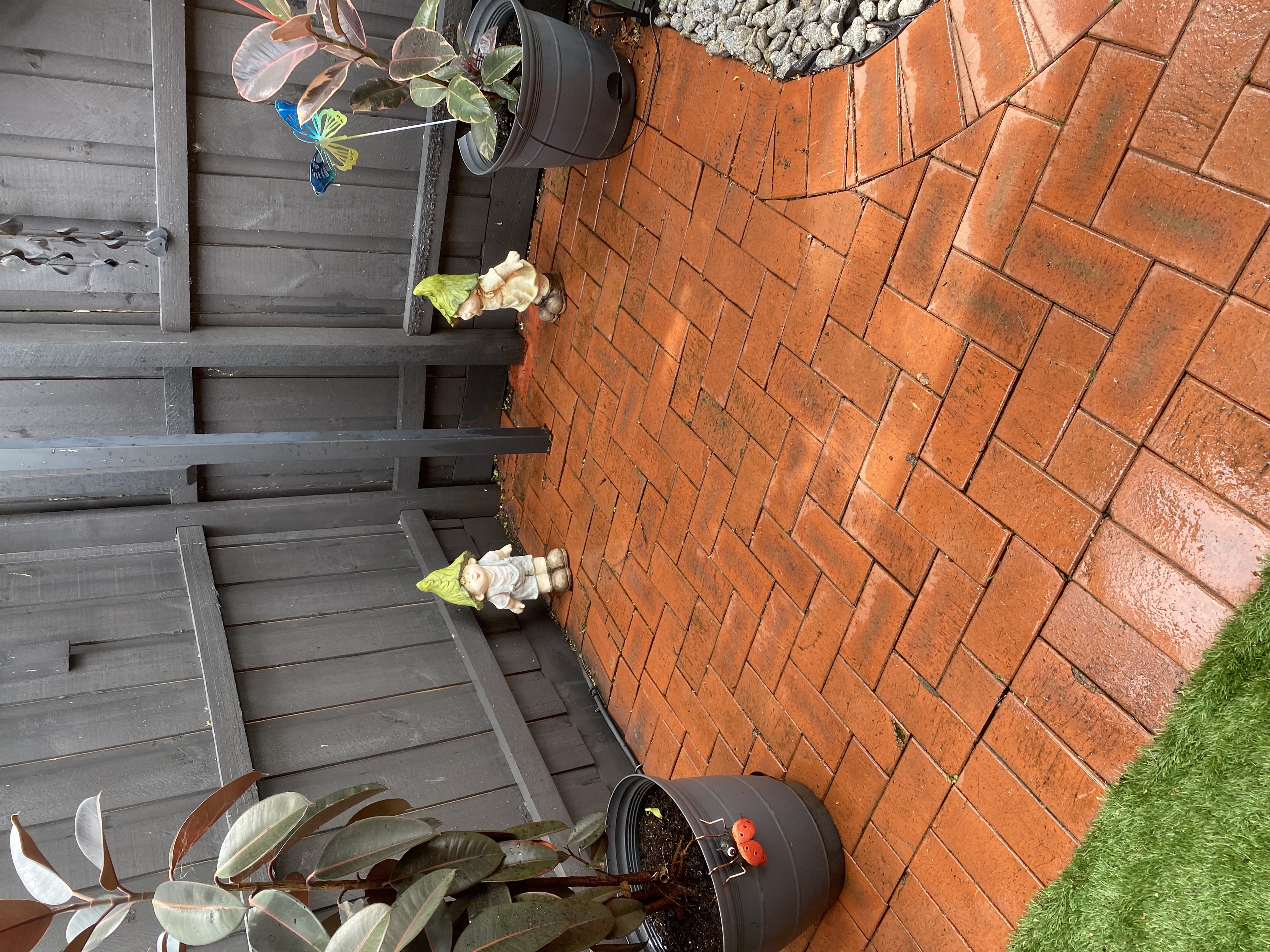 image-9