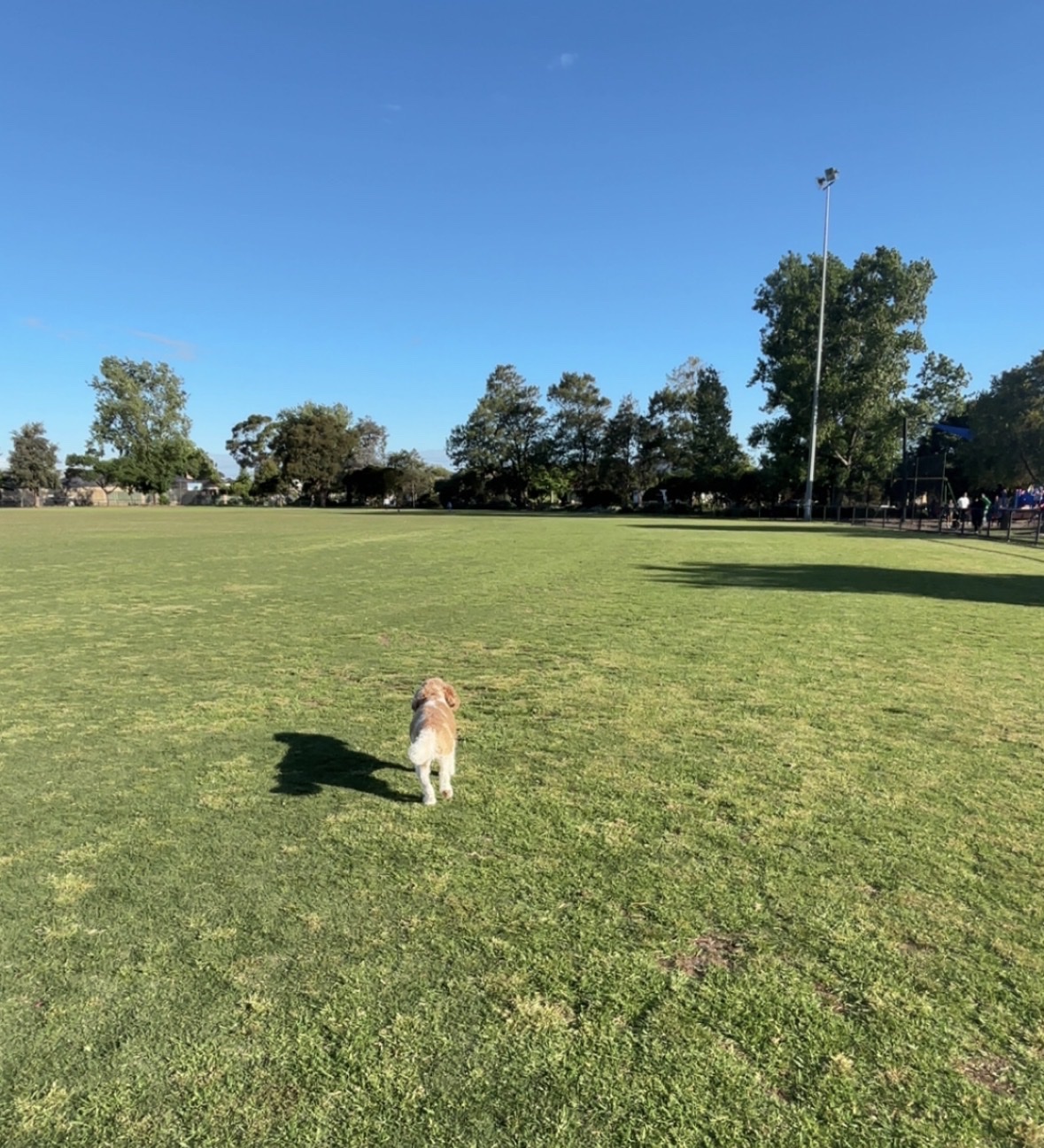 image-13