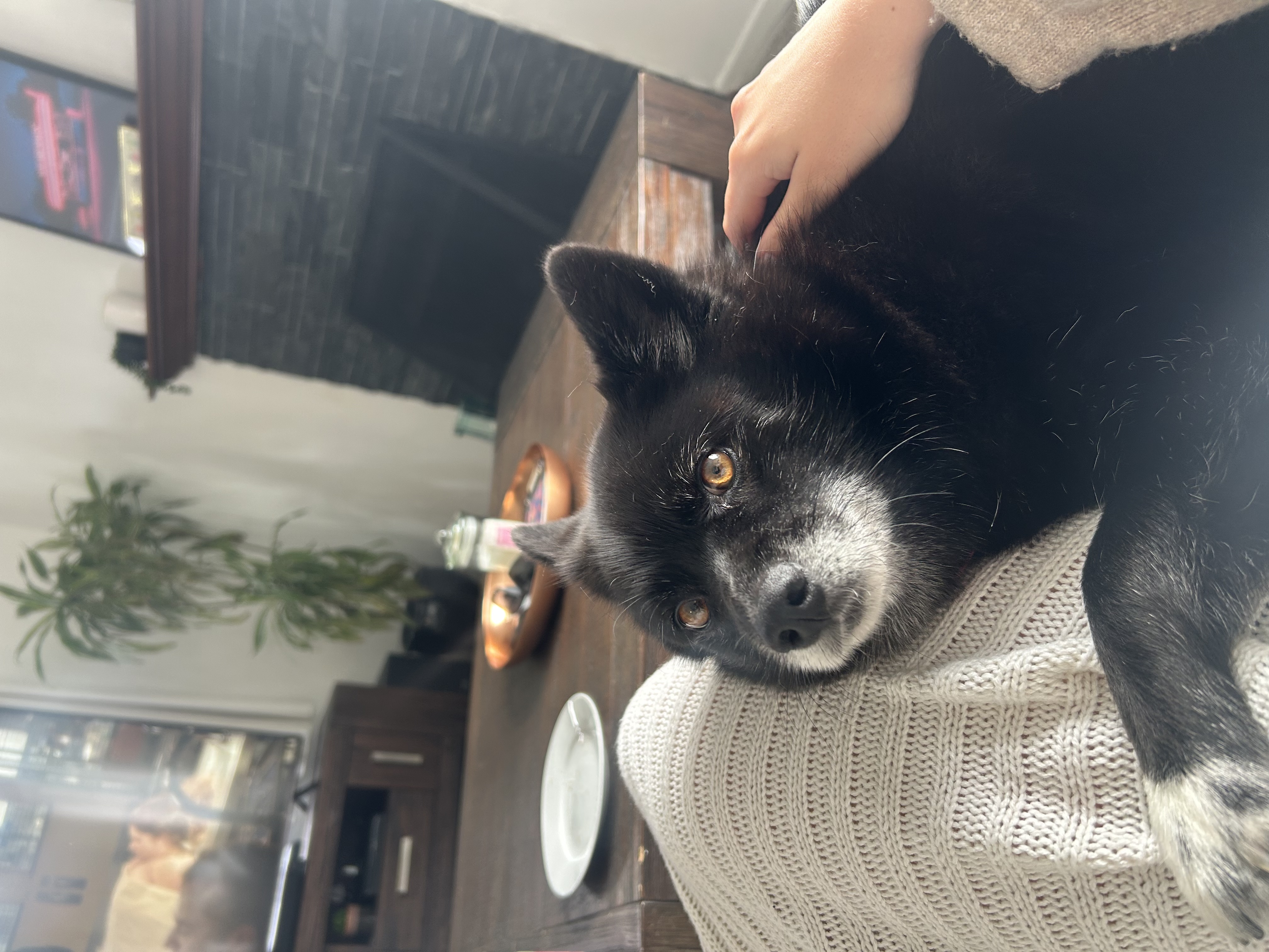 image-8