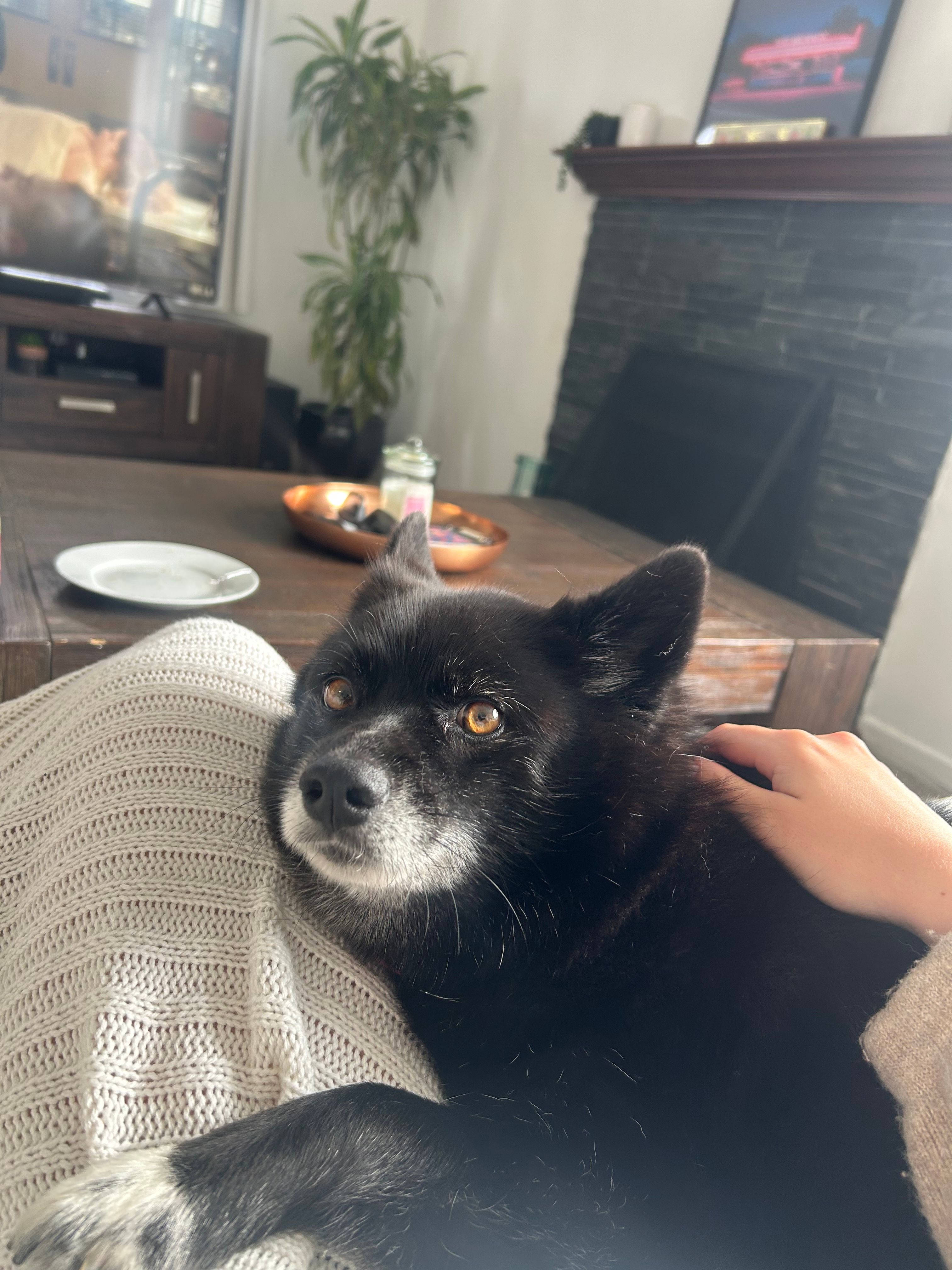 image-8