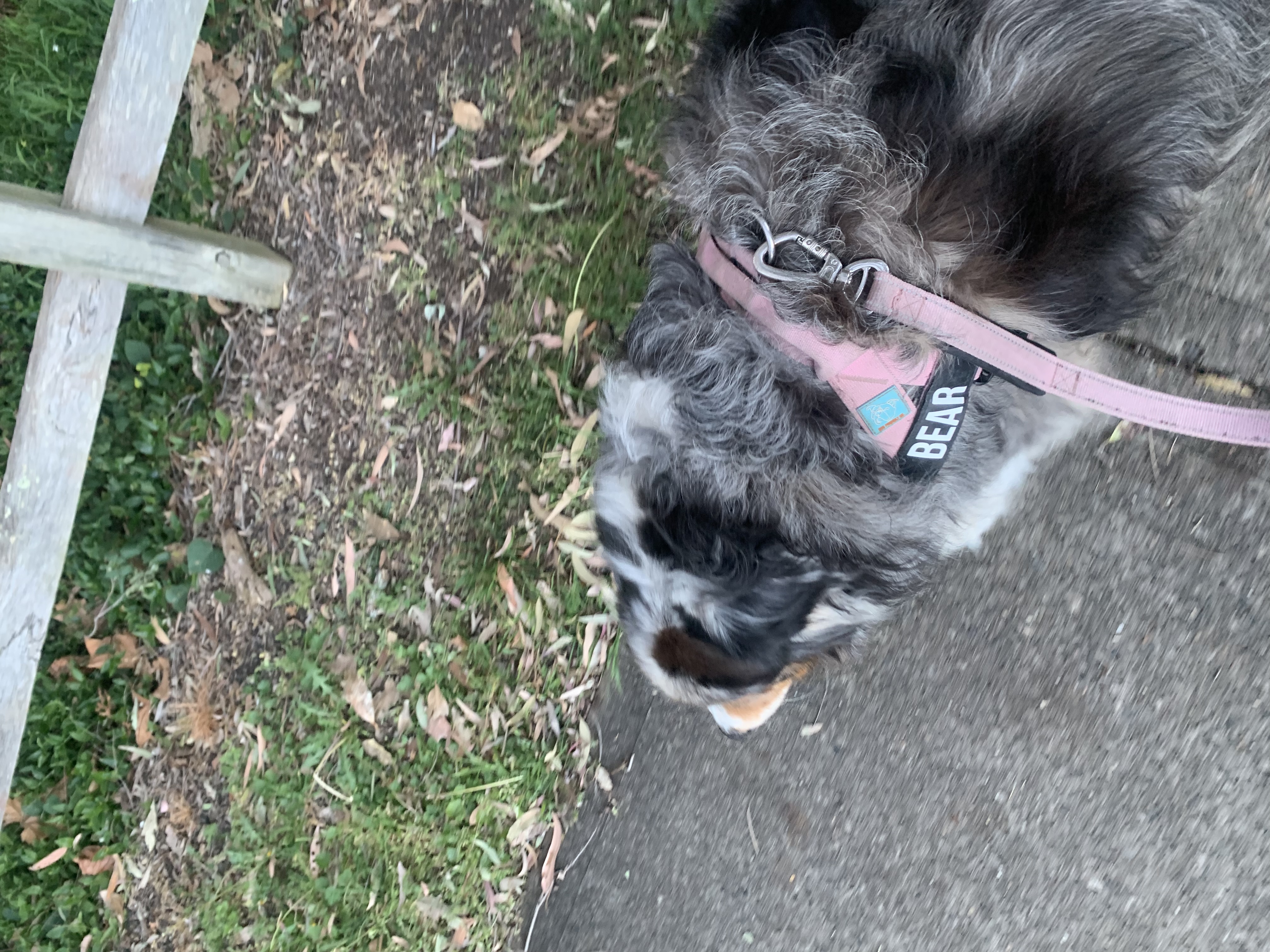image-6